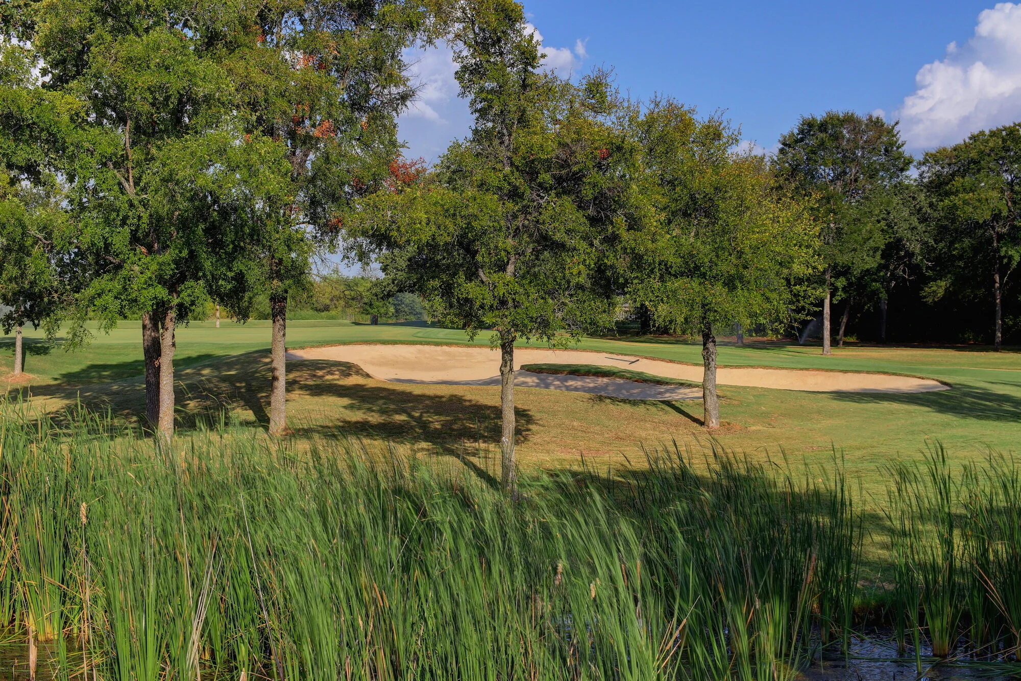 Golf Course New — White Bluff Resort