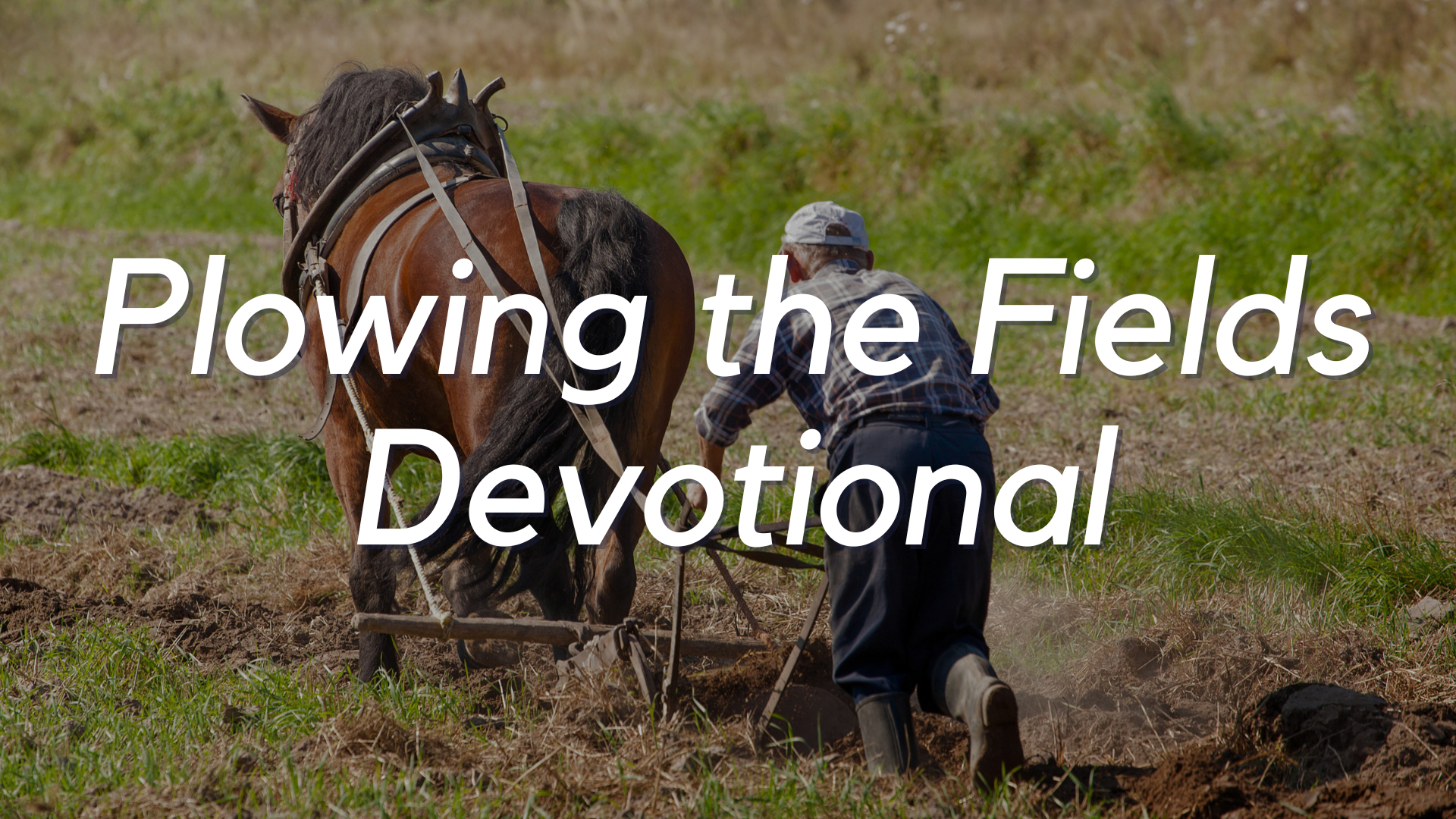 Plowing the Fields Devotional.png