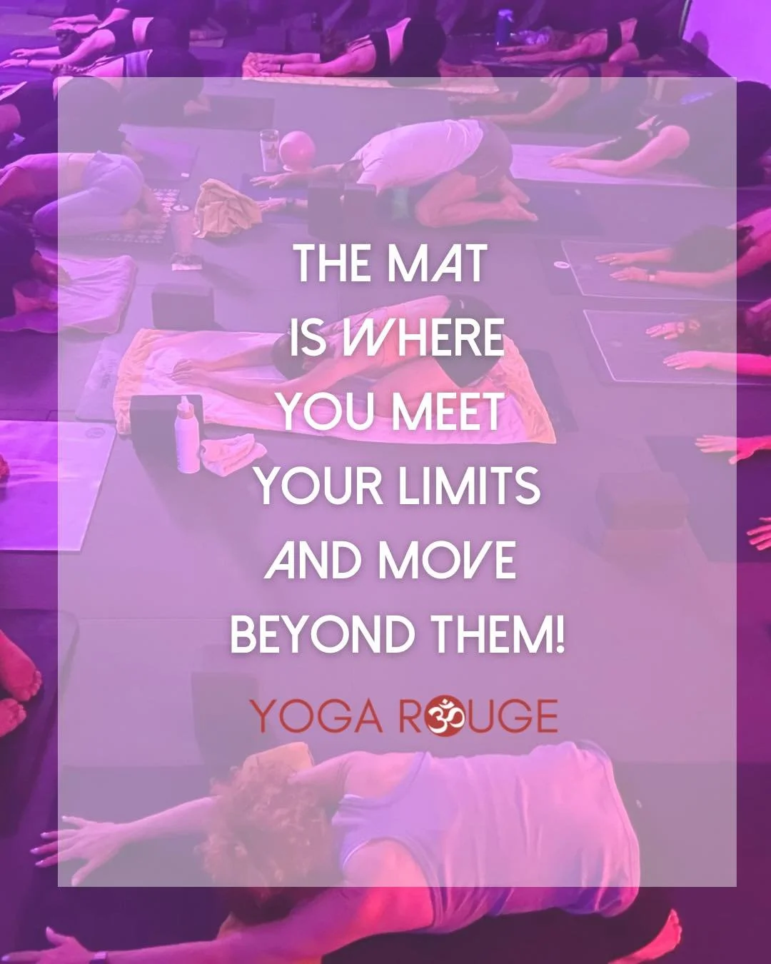 What are you waiting for? Sign up, Show up and Move with us!

&bull;
&bull;
&bull;
#yoga #hotpower #yogasculpt #vinyasa #batonrouge #yogarouge
