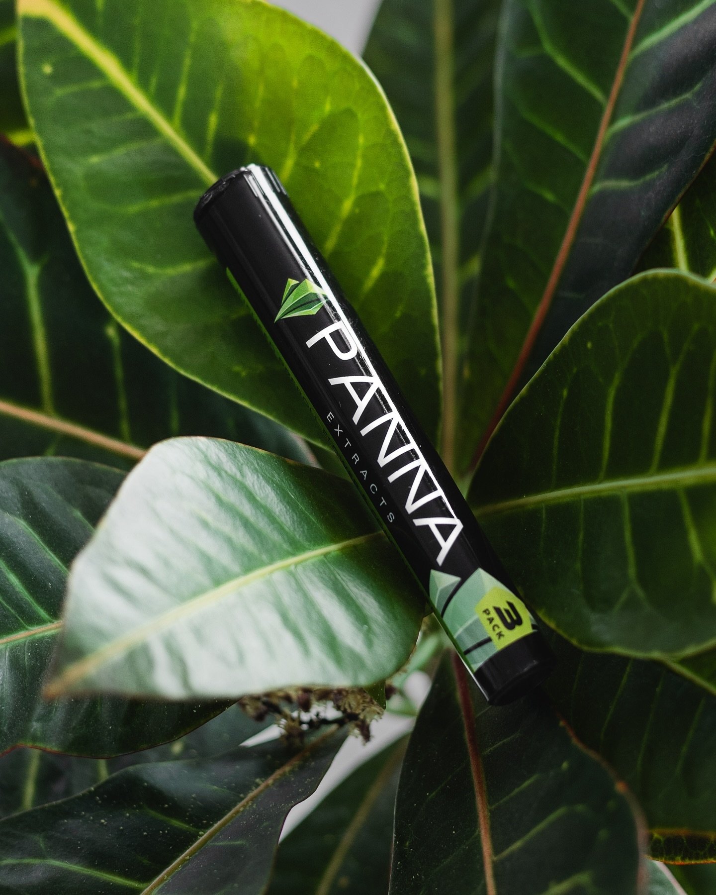 Don&rsquo;t forget your daily greens🌿

#panna #local #lit #legit