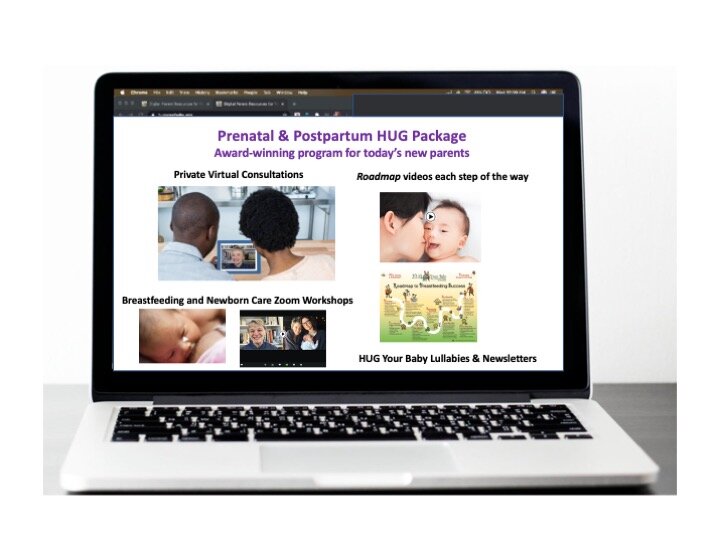 Prenatal and Postpartum Education and Private Consultations