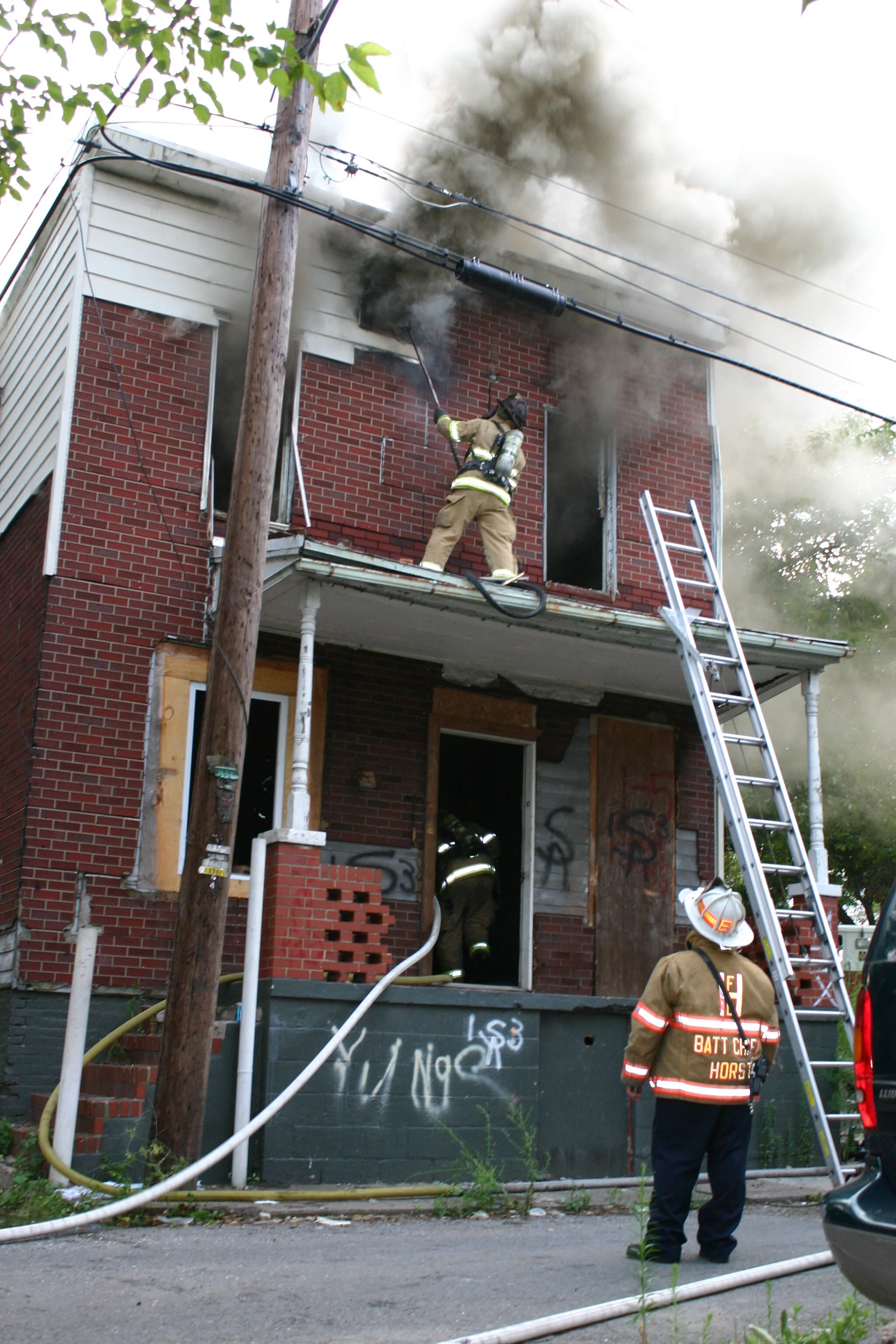 426daisyst_020.jpg