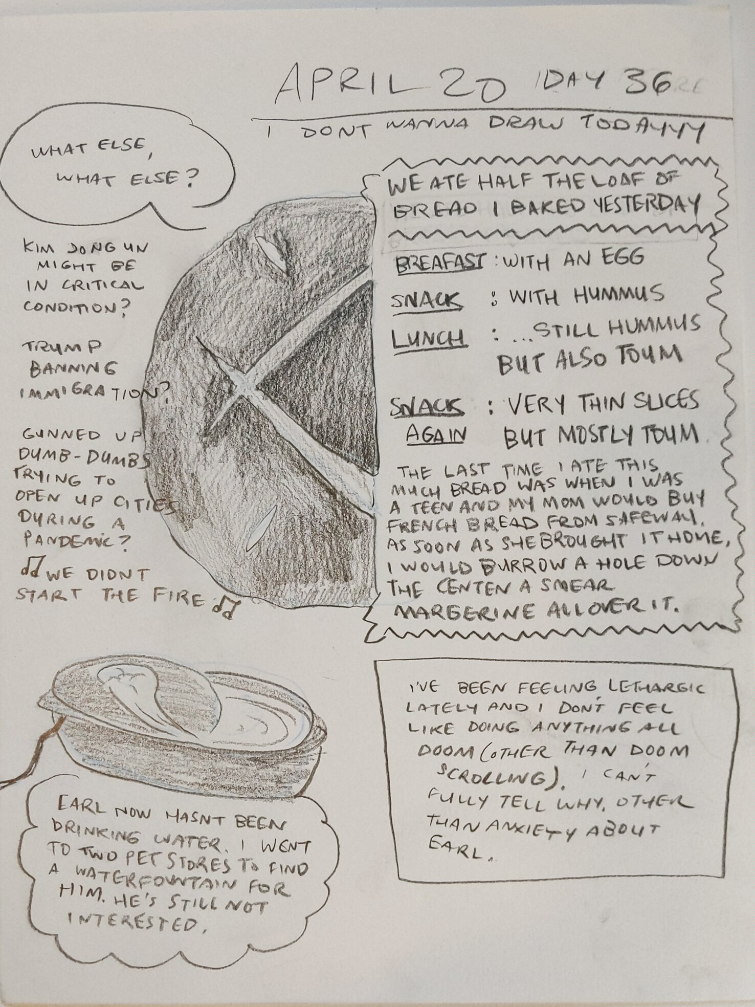 PANDEMIC DIARY RESIZED-36.jpg