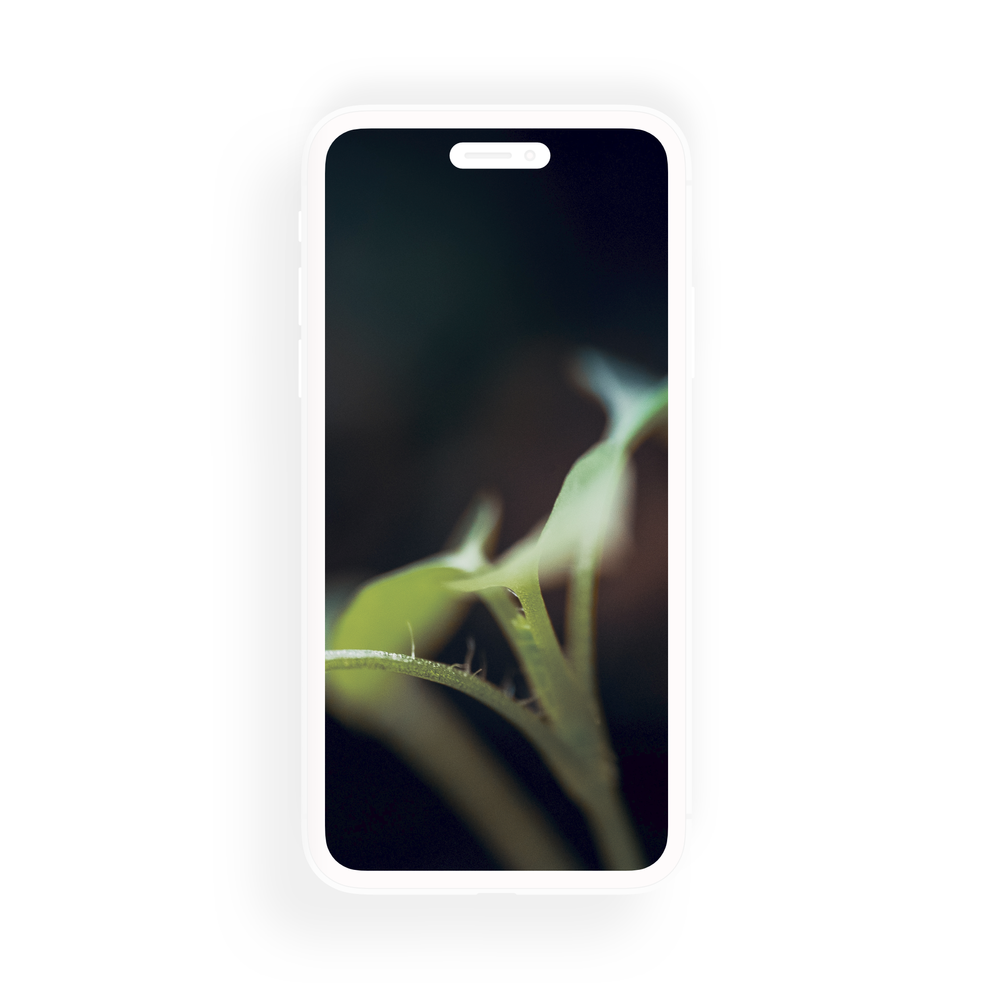 Muted Lines 8K & Iphone Wallpaper Pack — This Is E