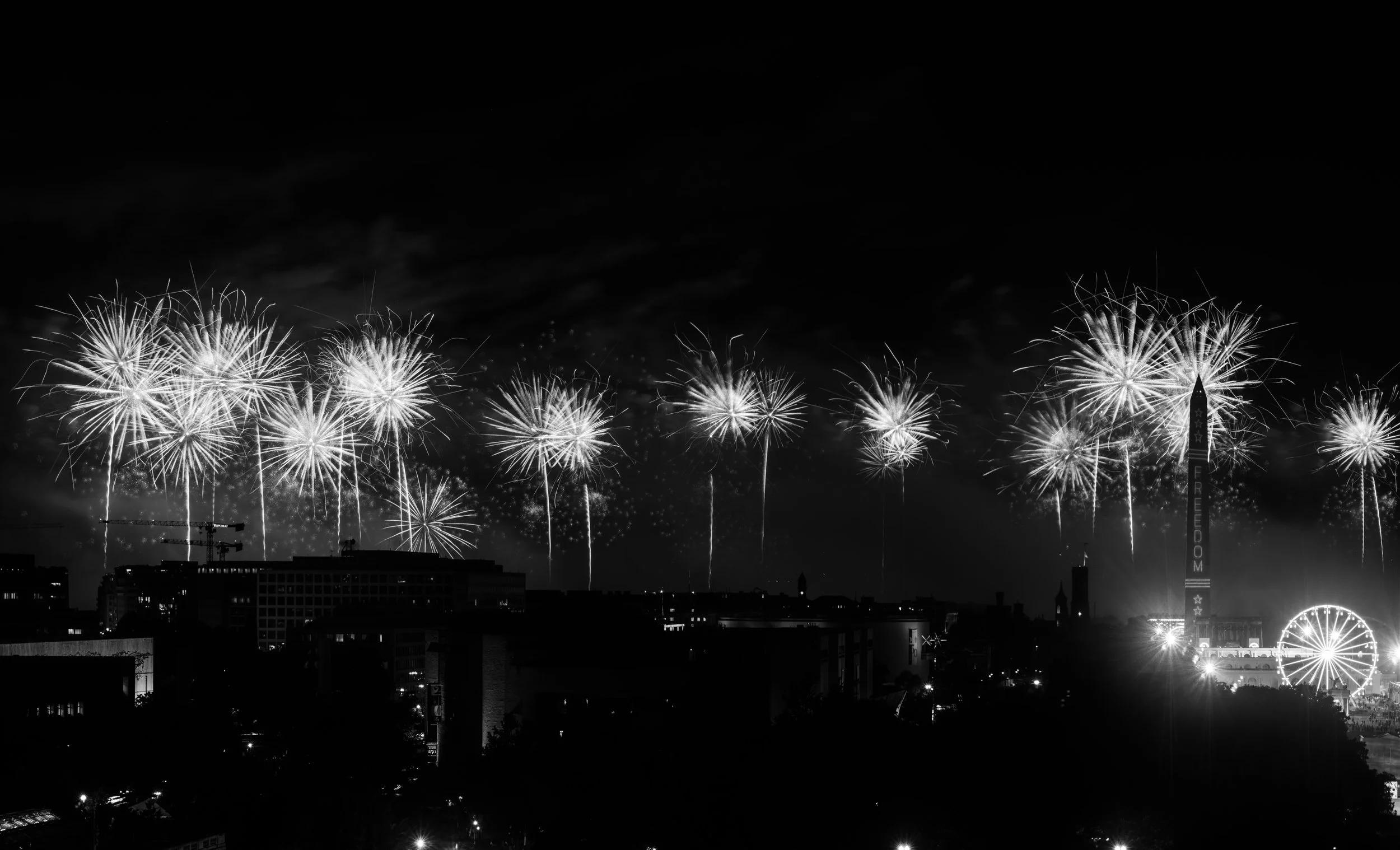 DSCF9559_1.JPG