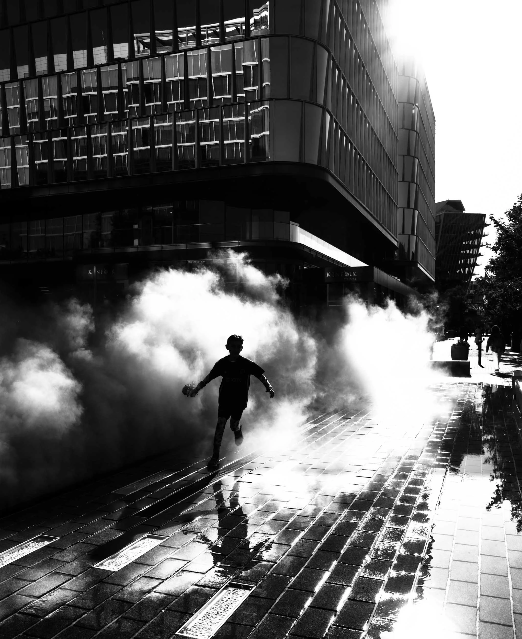 Echoes of a Hidden Paradise TN.jpg