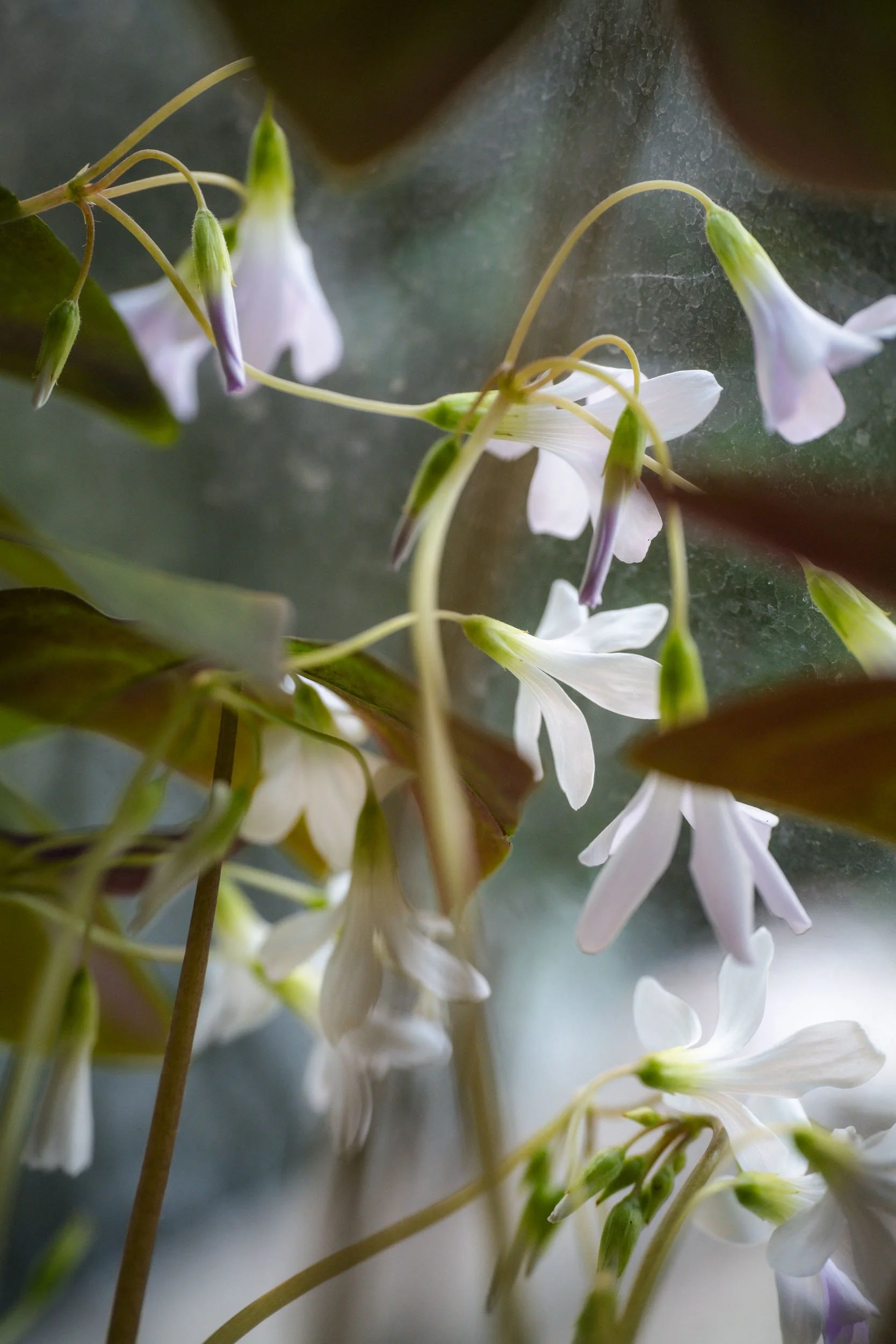 Post-Holiday Silence