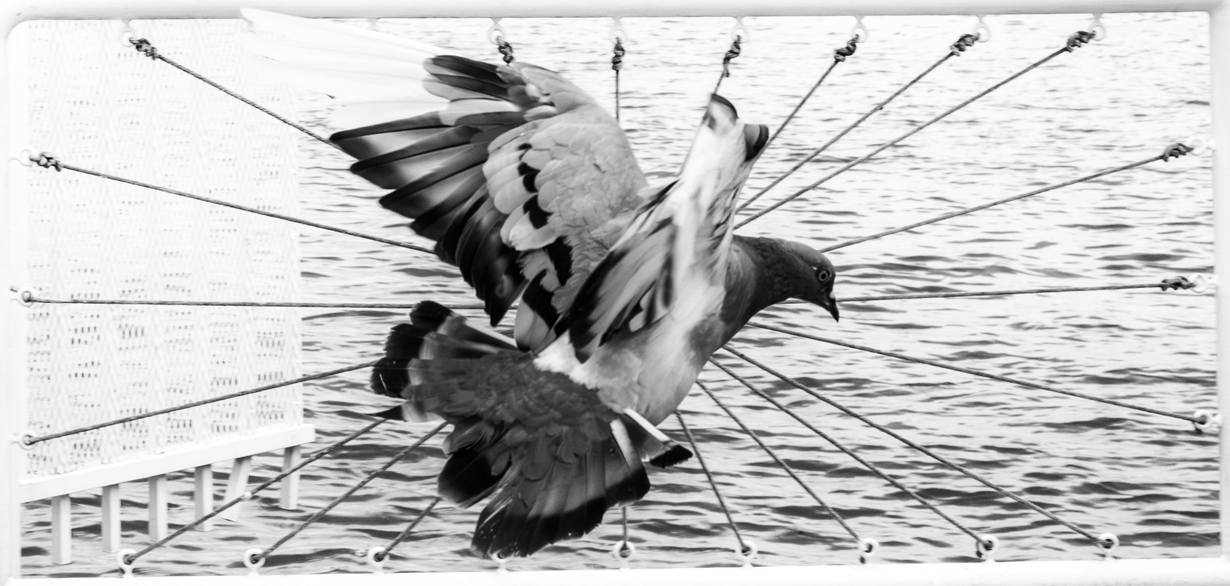 Deactivating the Noise