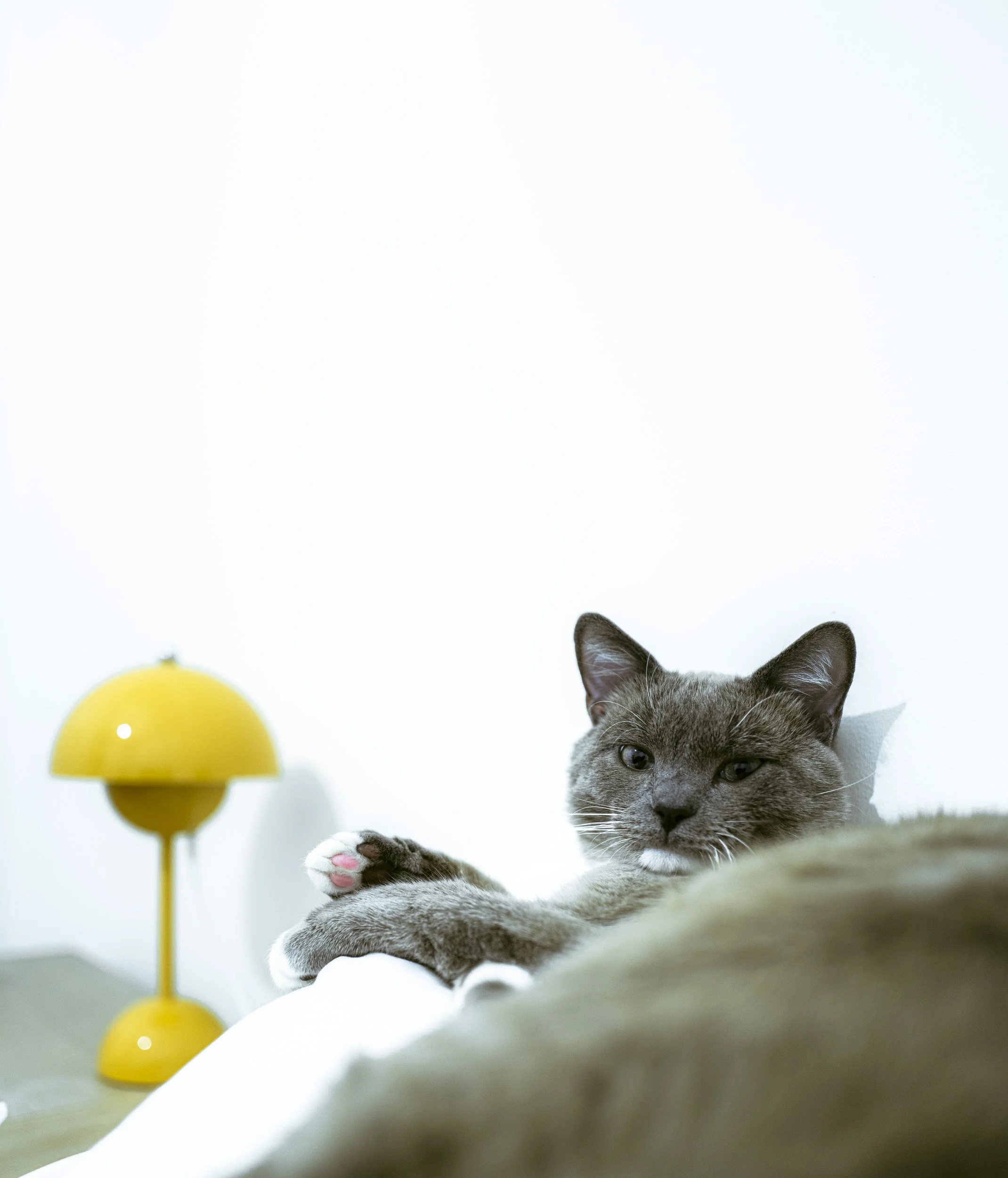 Economies of Forward Motion