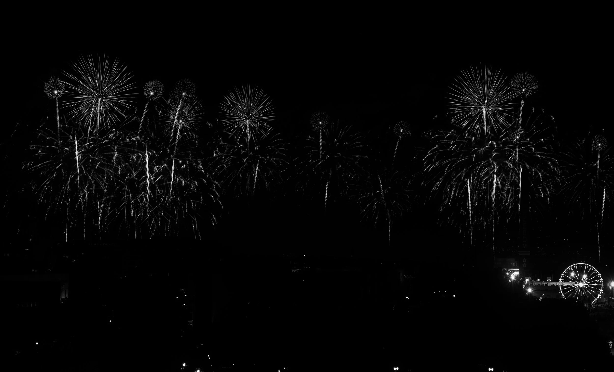 DSCF9648_1.JPG