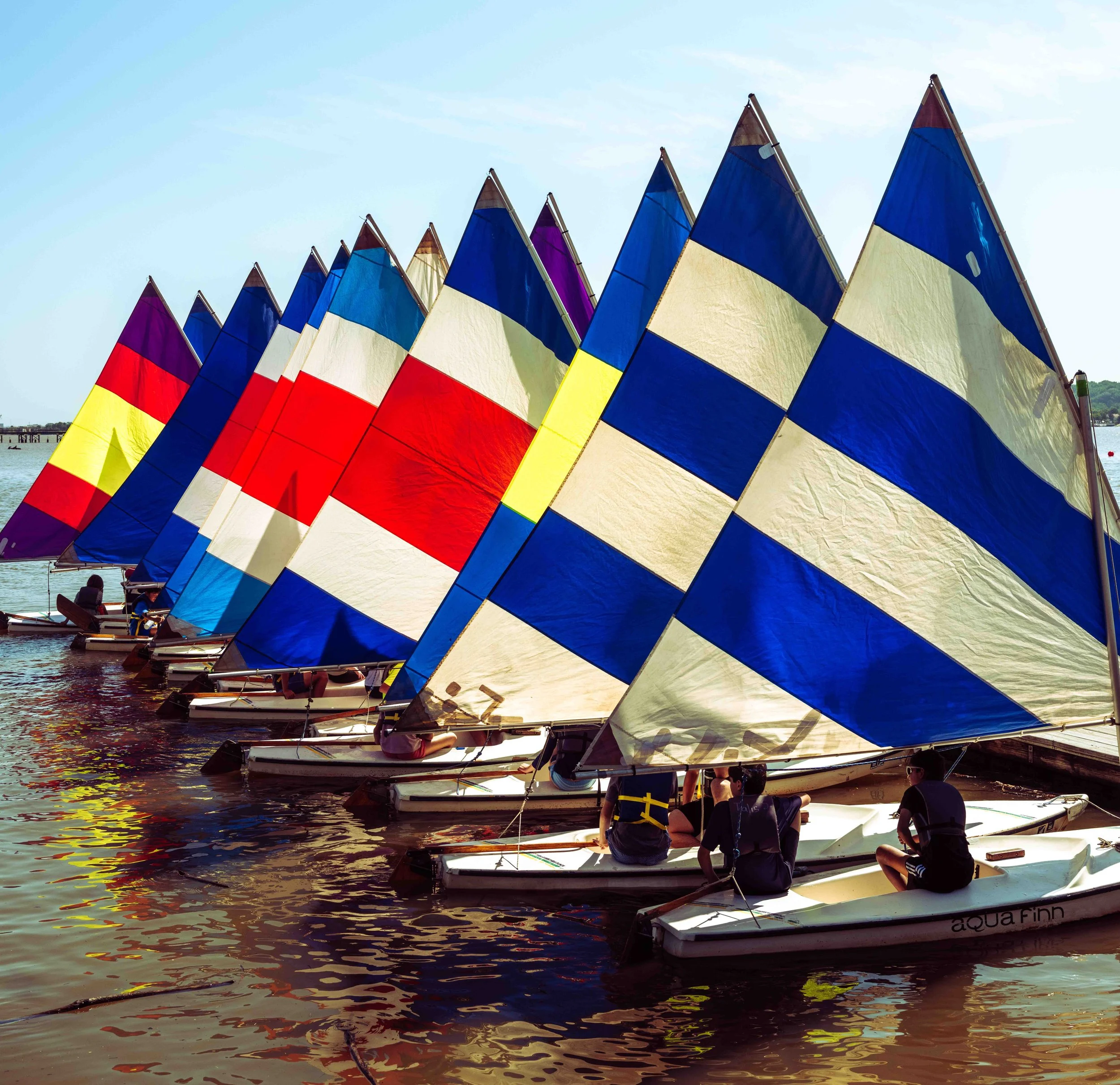 Rows of colorful sails create a striking display at the Washington Sailing School marina.