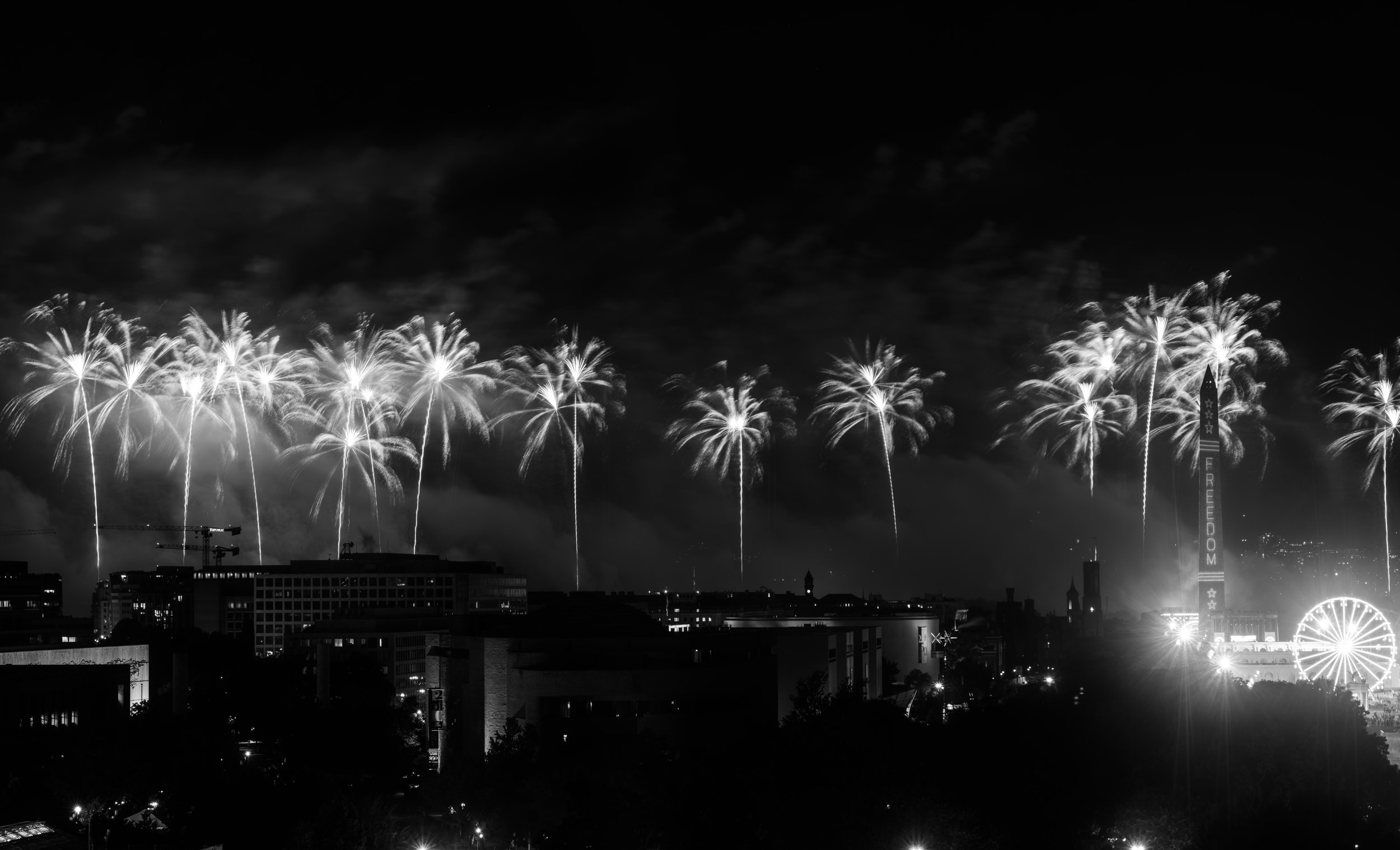 DSCF9545_1.JPG