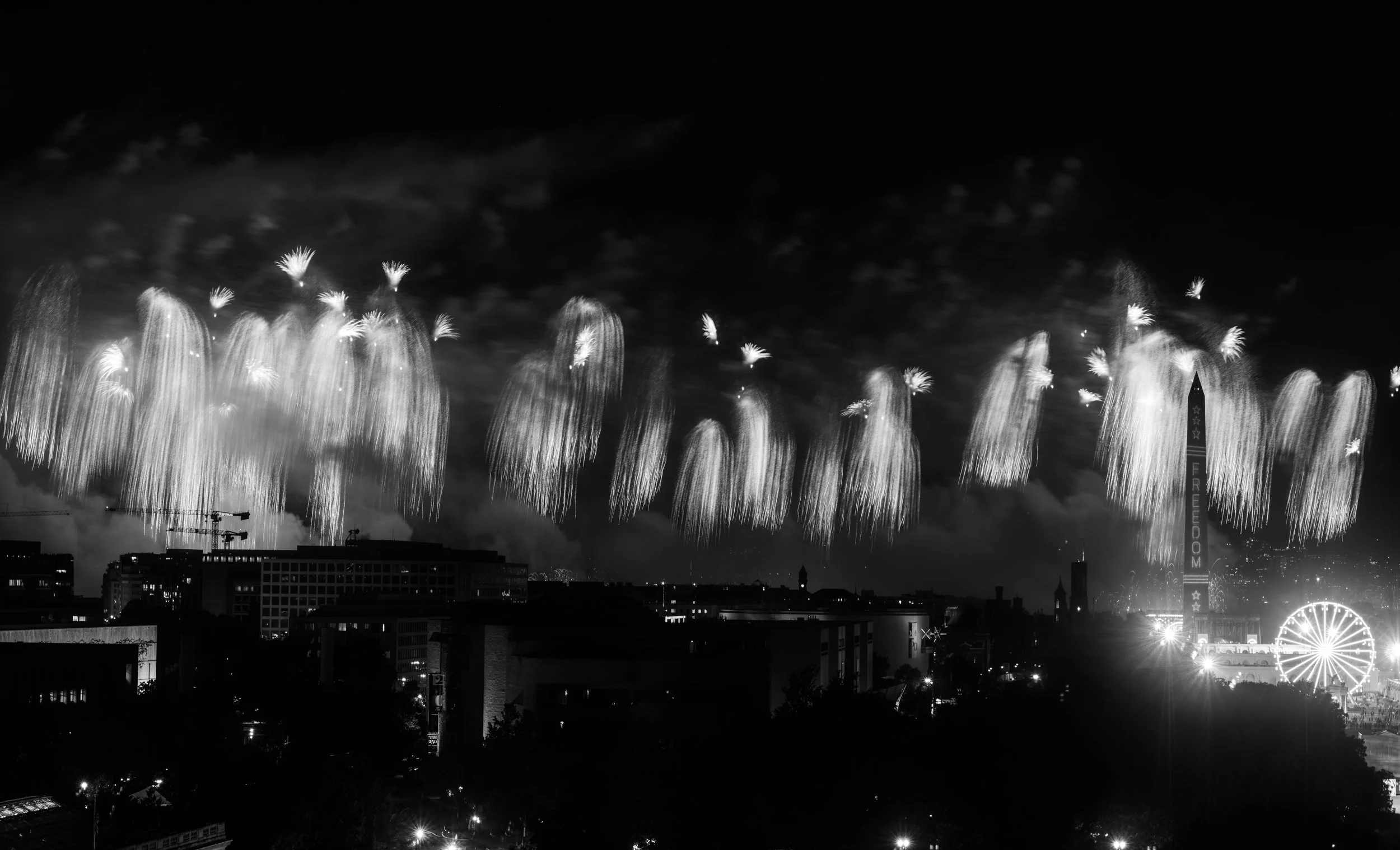 DSCF9539_1.JPG