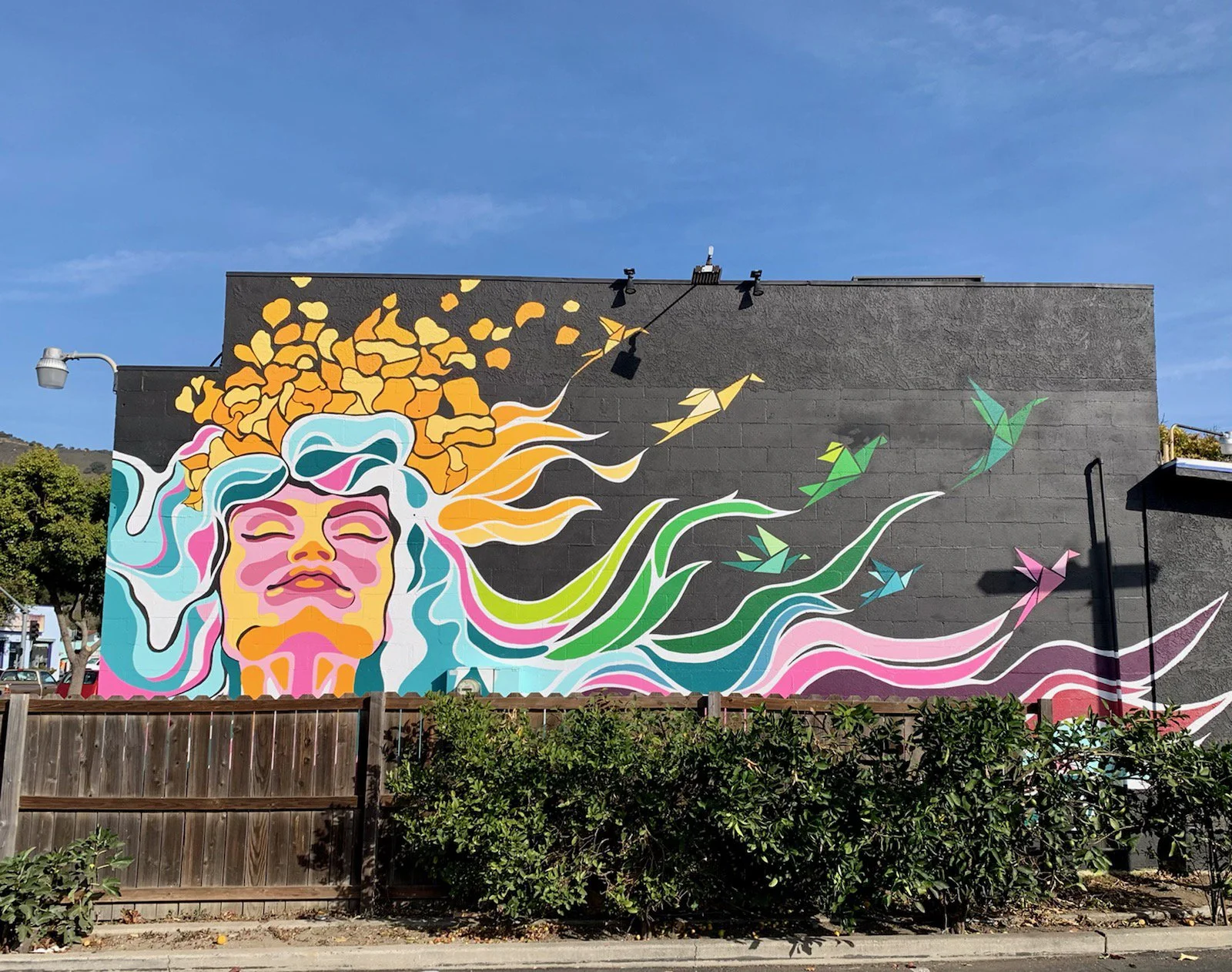 Lady Lux on SLODOCO SLO