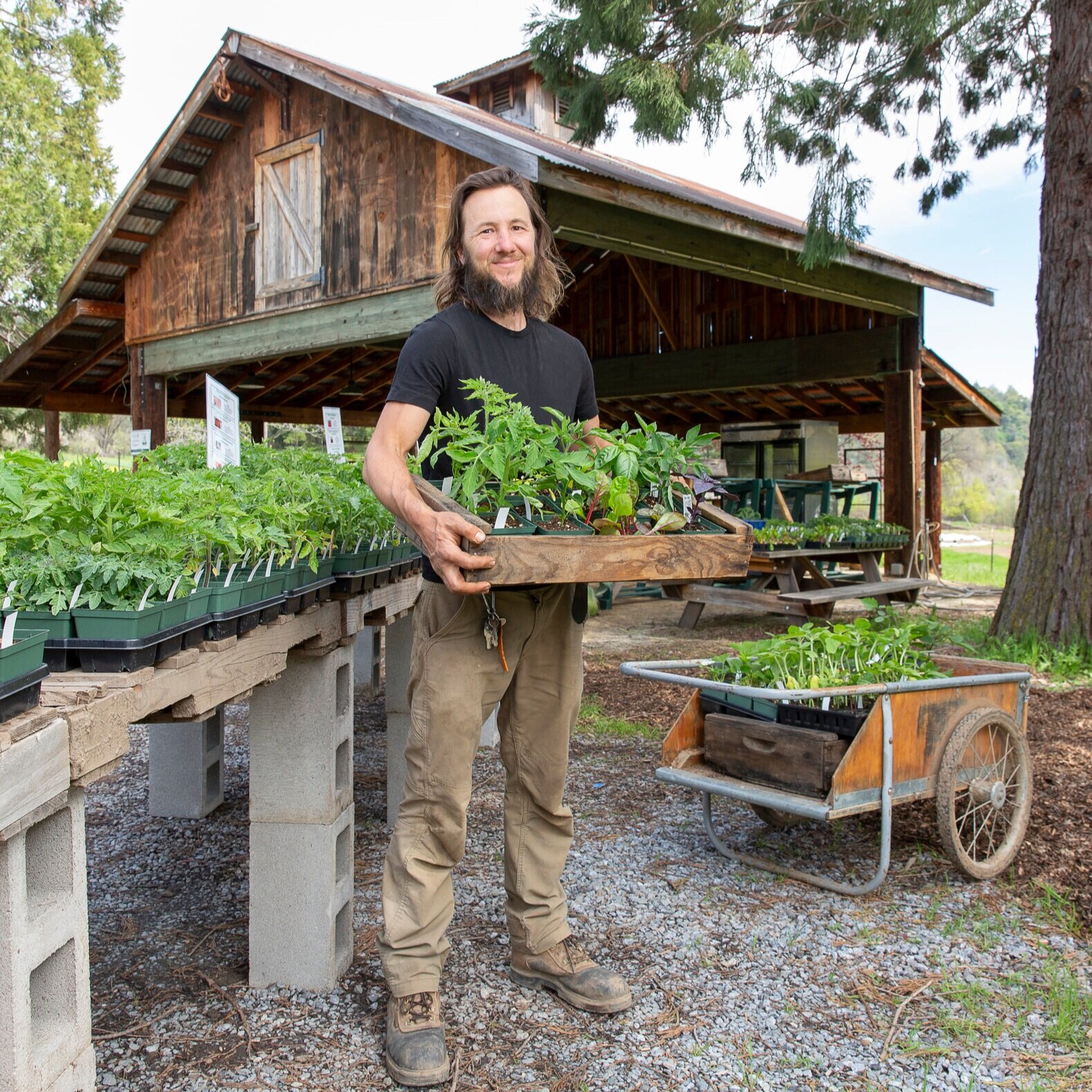 24 Carrot Farm