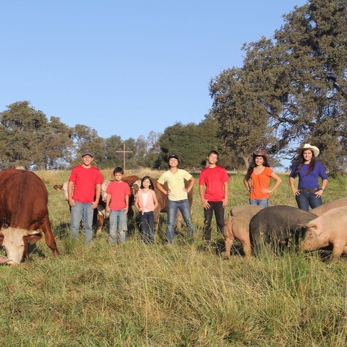 Family Friendly Farms