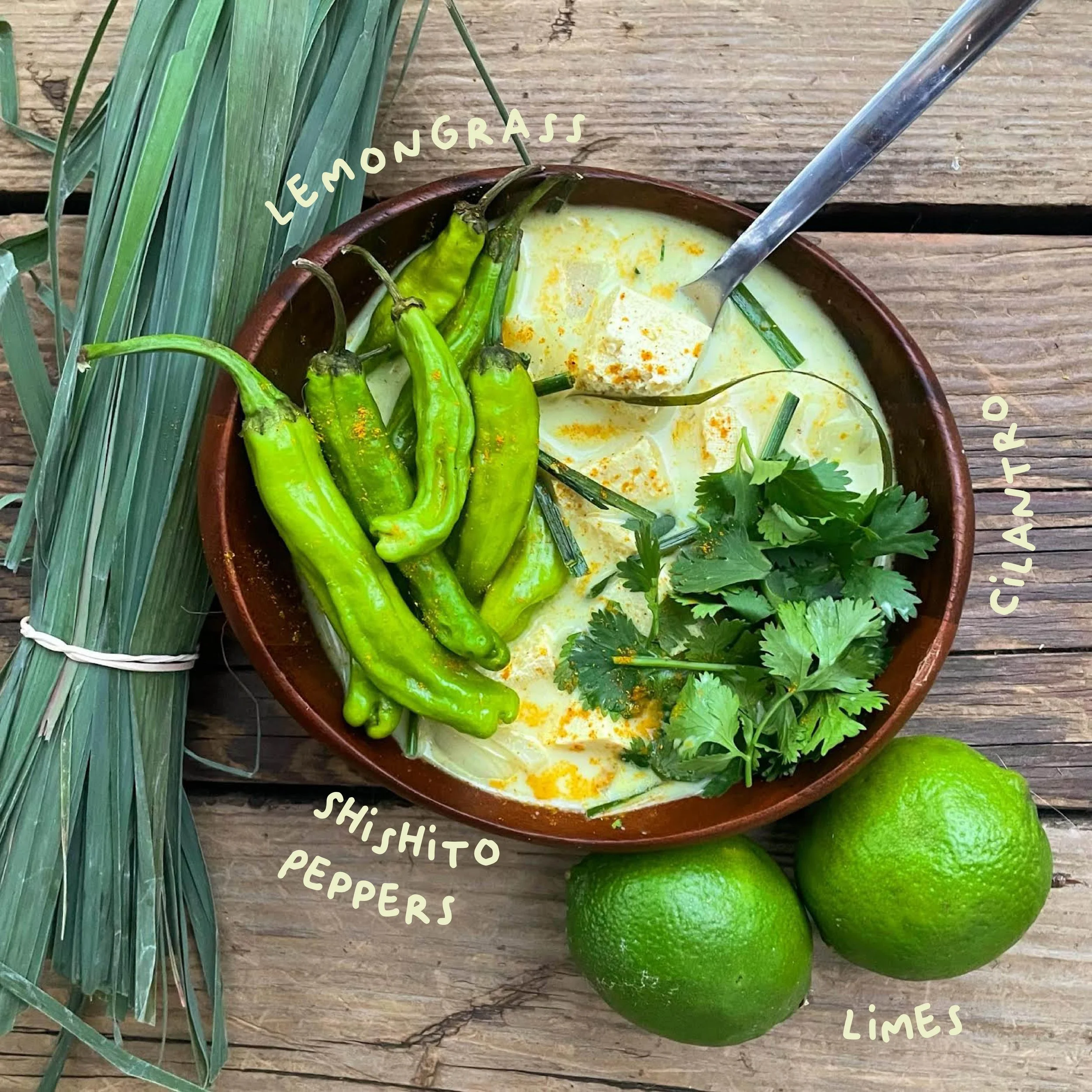 Lemongrass Soup with Cilantro and Shishito Peppers — Building community