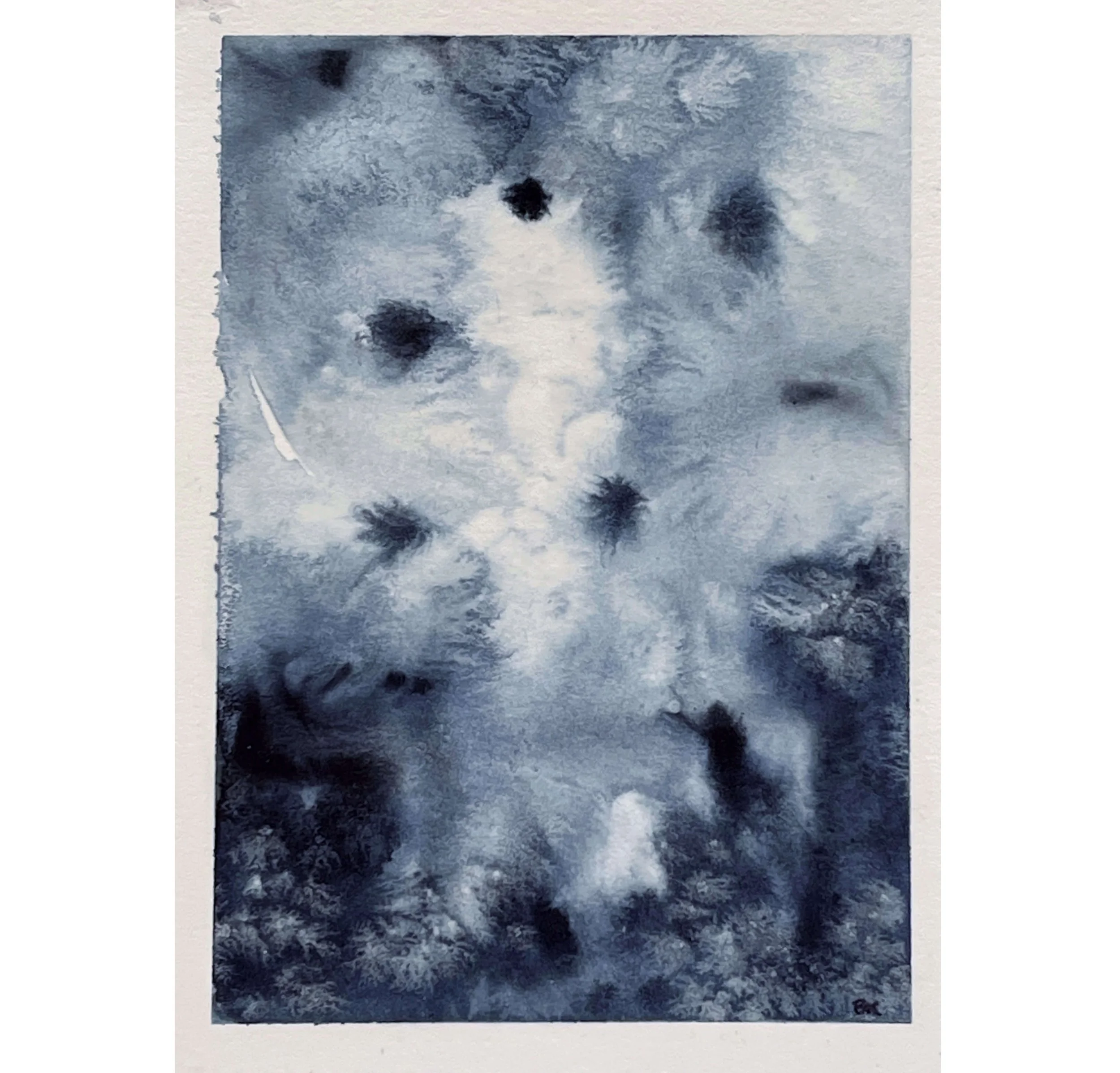 Satiate_sq_b arbarakleinhans.jpg