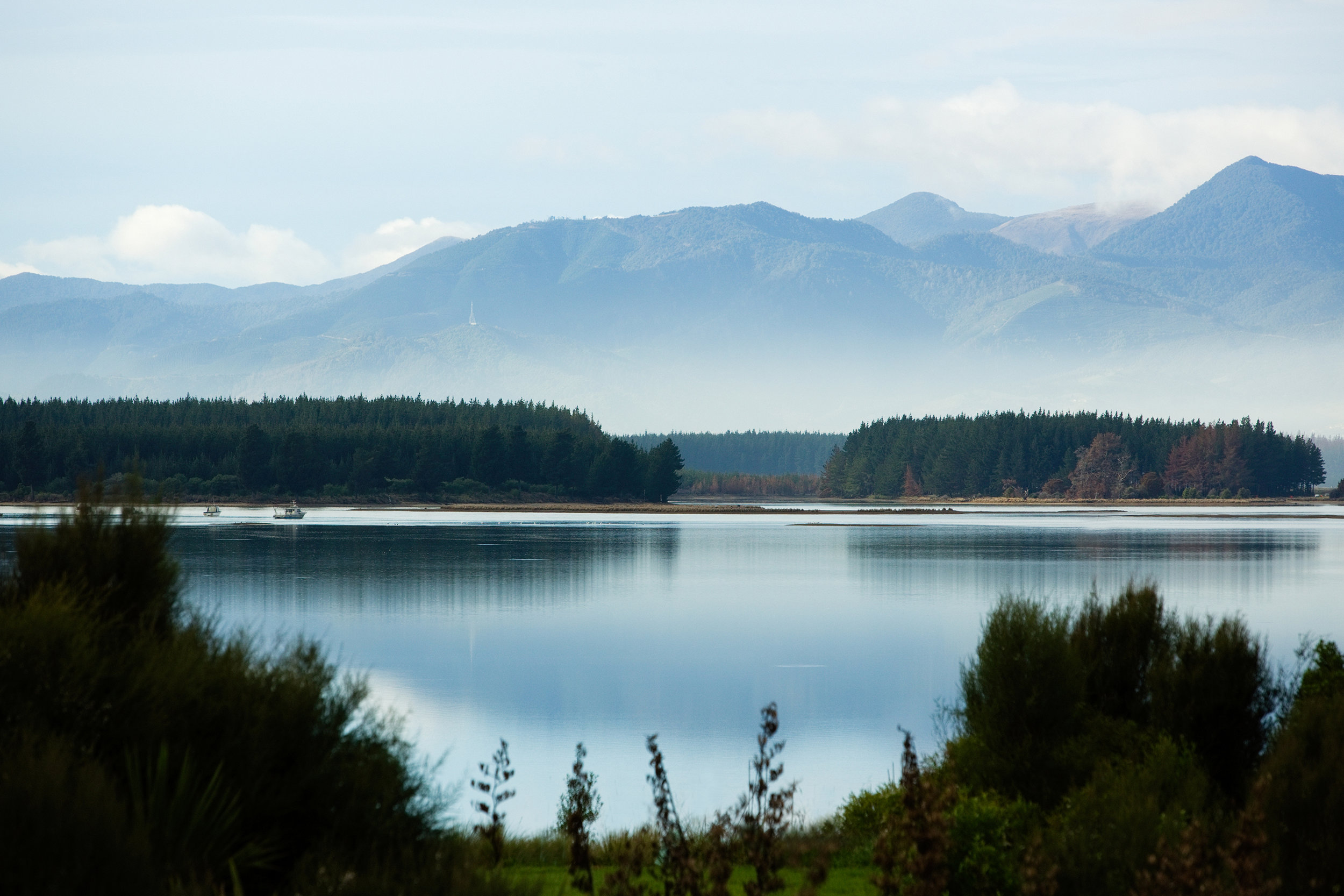 1X1A40782WL copy 2.jpg