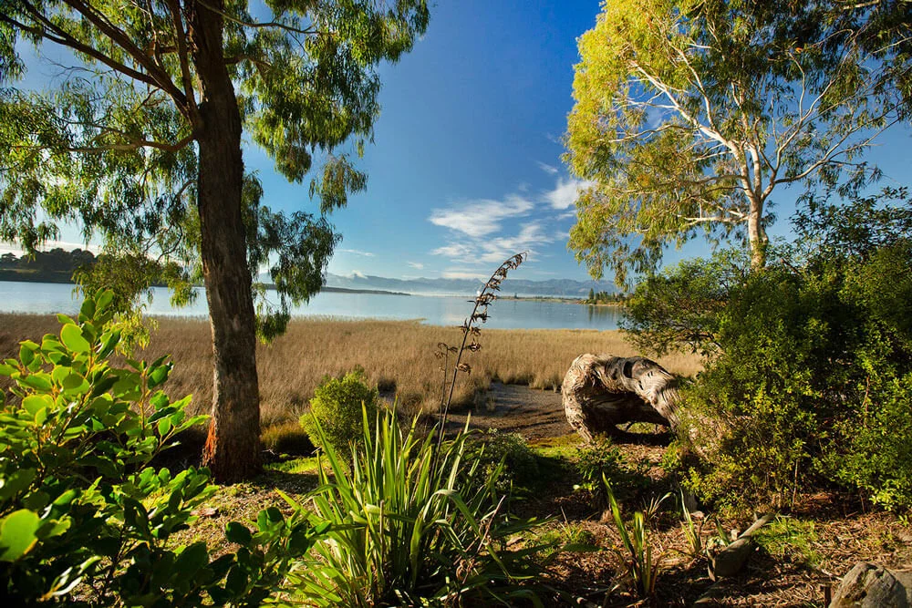 Waimea Inlet Mapua from the Karaka Cottage garden