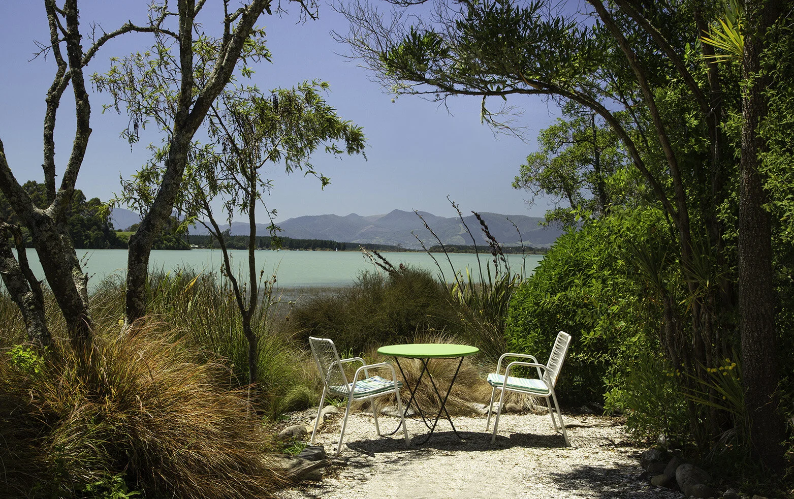 1X1A3568WS  copy.jpg