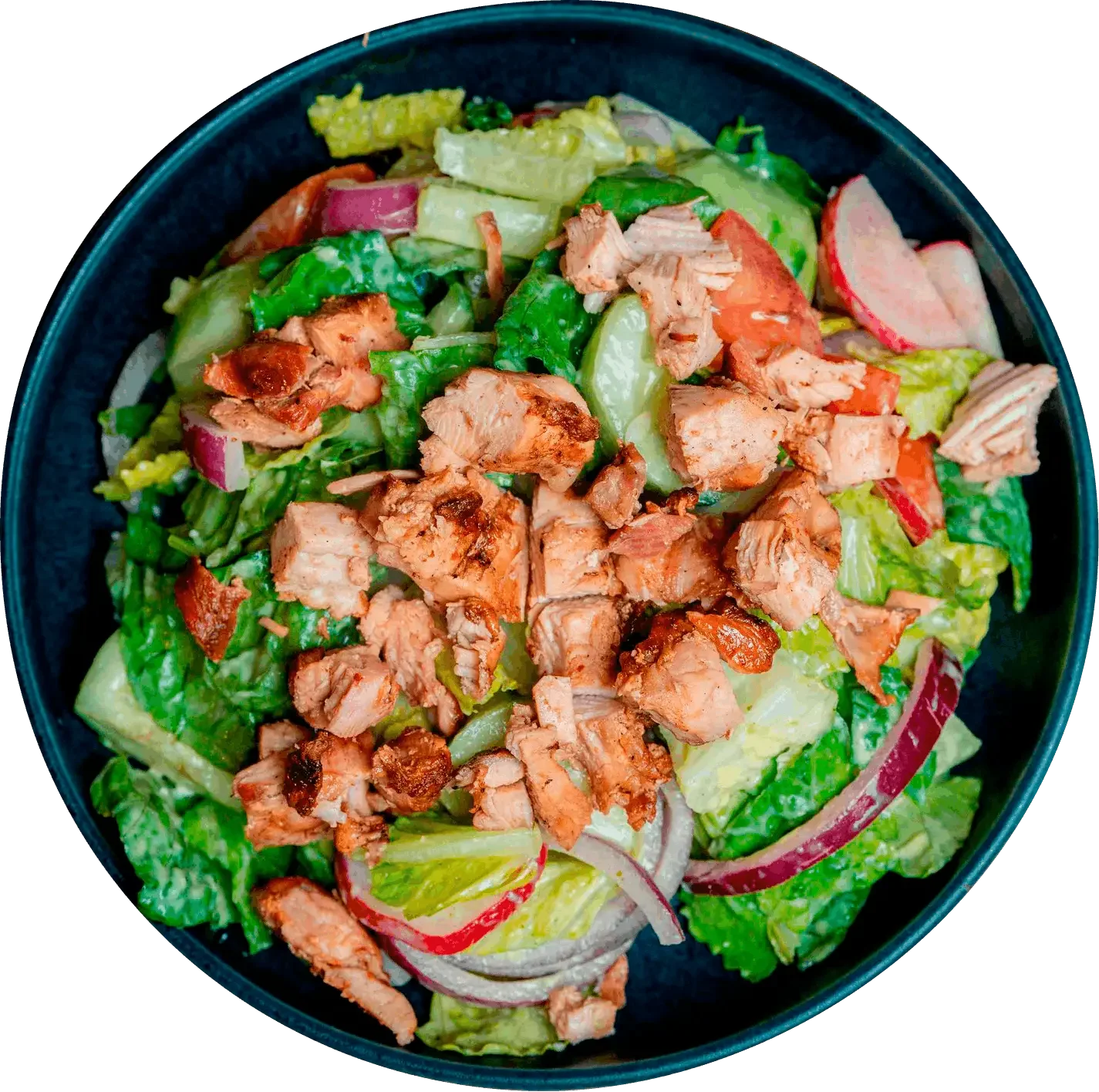 A bowl of grilled chicken salad with chopped lettuce, sliced radishes, and other vegetables.