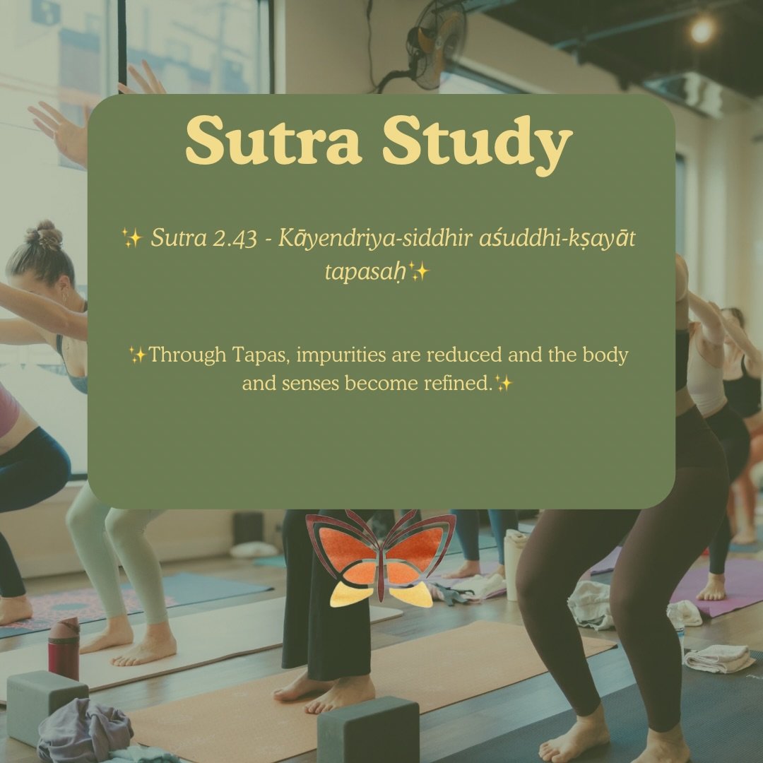 🔥Sutra Study: Sutra 2.43 🔥

Tapas svādhyāya īśvara praṇidhānāni kriyā yogaḥ

💫Through tapas, impurities are reduced and the body and senses become refined.💫

Tapas asks us to stay with what&rsquo;s in front of us&mdash;to keep showing up, even wh