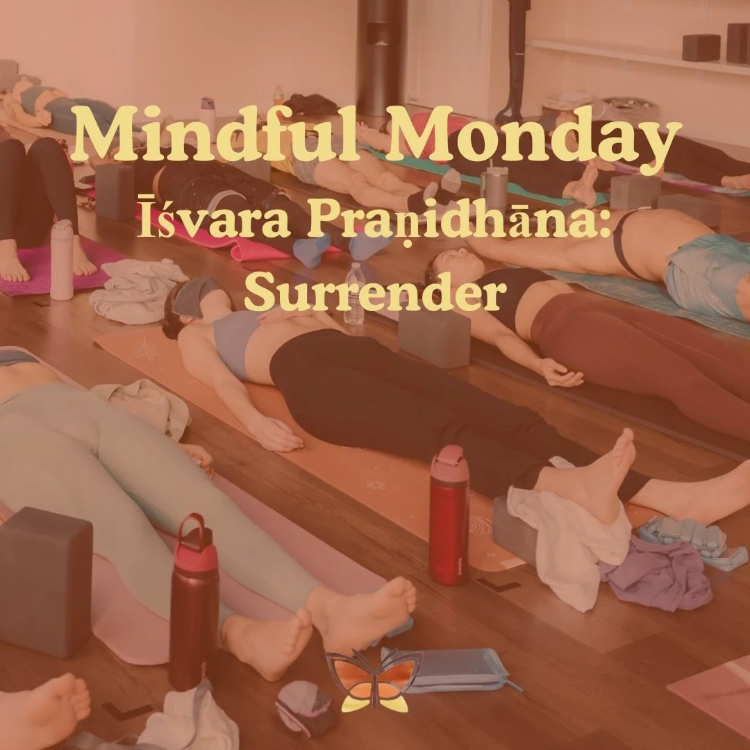 ✨ Mindful Monday: Īśvara Praṇidhāna✨

Īśvara Praṇidhāna, often translated as surrender, closes out the niyamas with a shift in perspective.

Instead of trying to control every outcome, this practice invites us to stay rooted in our effort while softe