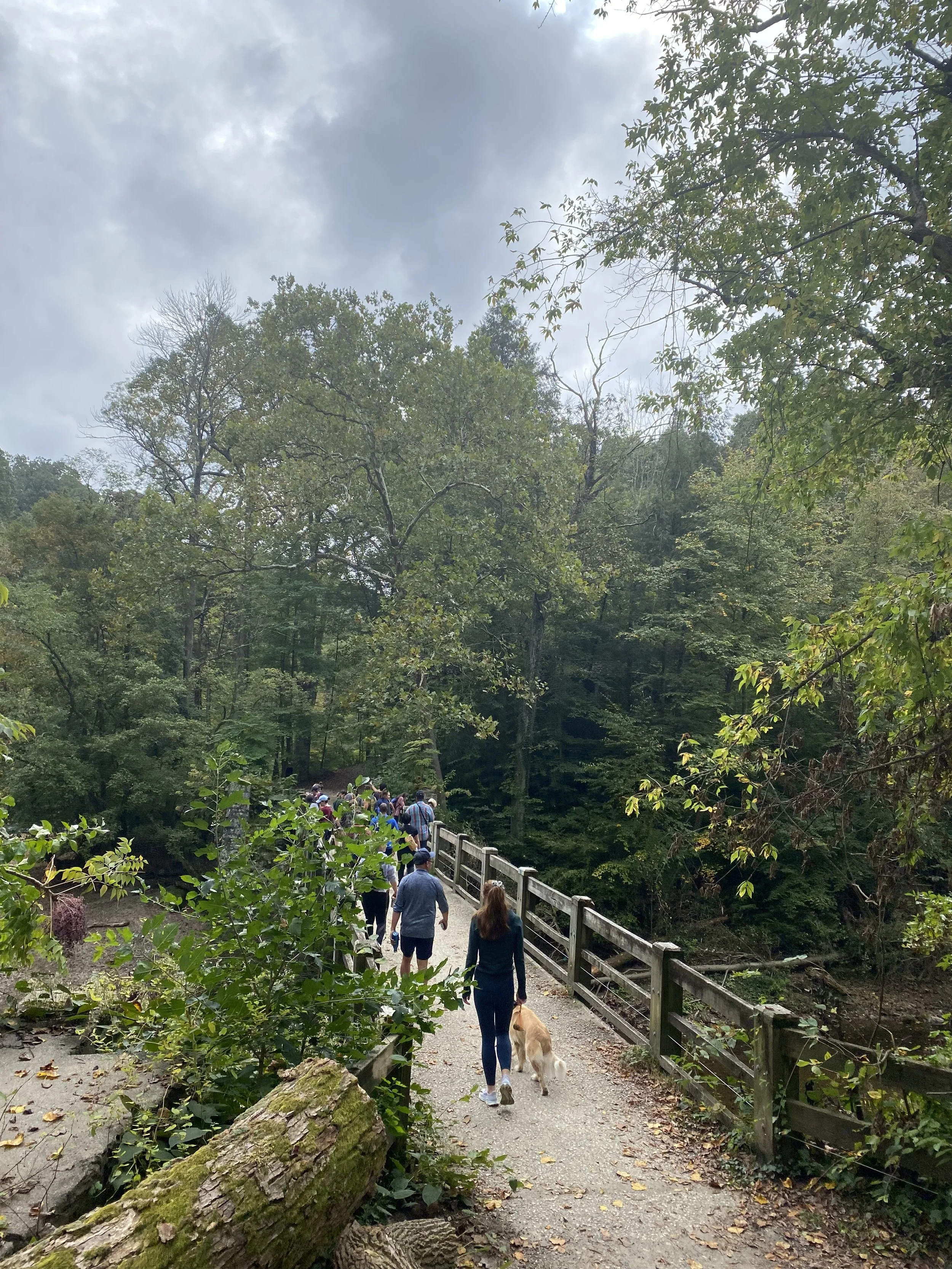 Members Hike with Sunshine Hikes
