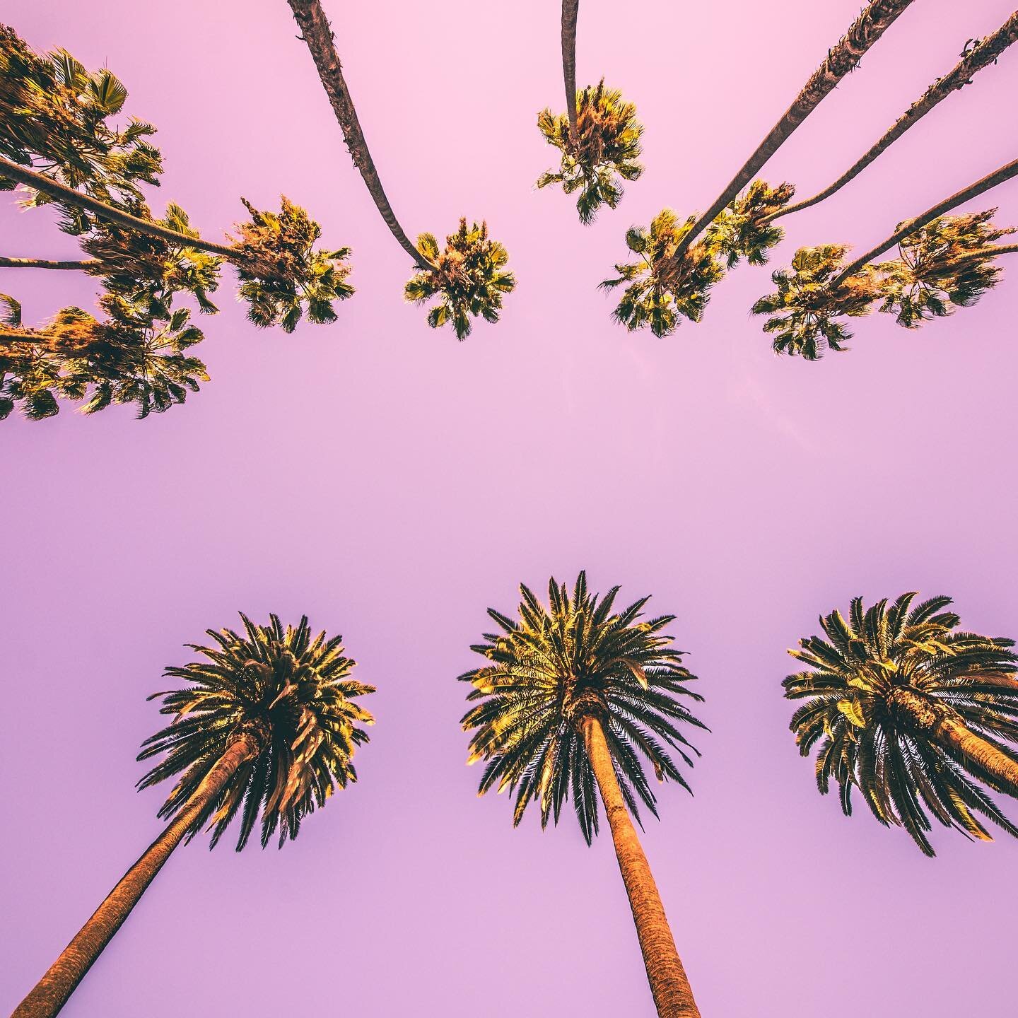 California Dreamin&rsquo;...
Viaja, no s&oacute;lo a trav&eacute;s de tu imaginaci&oacute;n... sino a trav&eacute;s de tu ropa, hasta tu destino favorito.🌴
.
.
.
.
.
#Fashion #Art #Tulumio #Travel #Inspiration