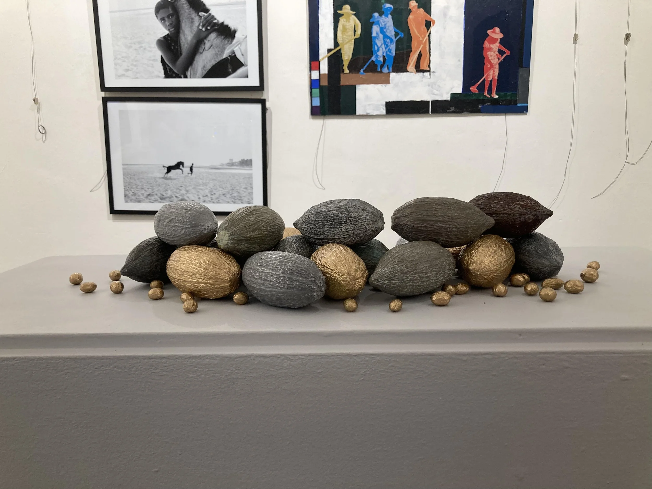 6 Cocoa at RWA.jpg