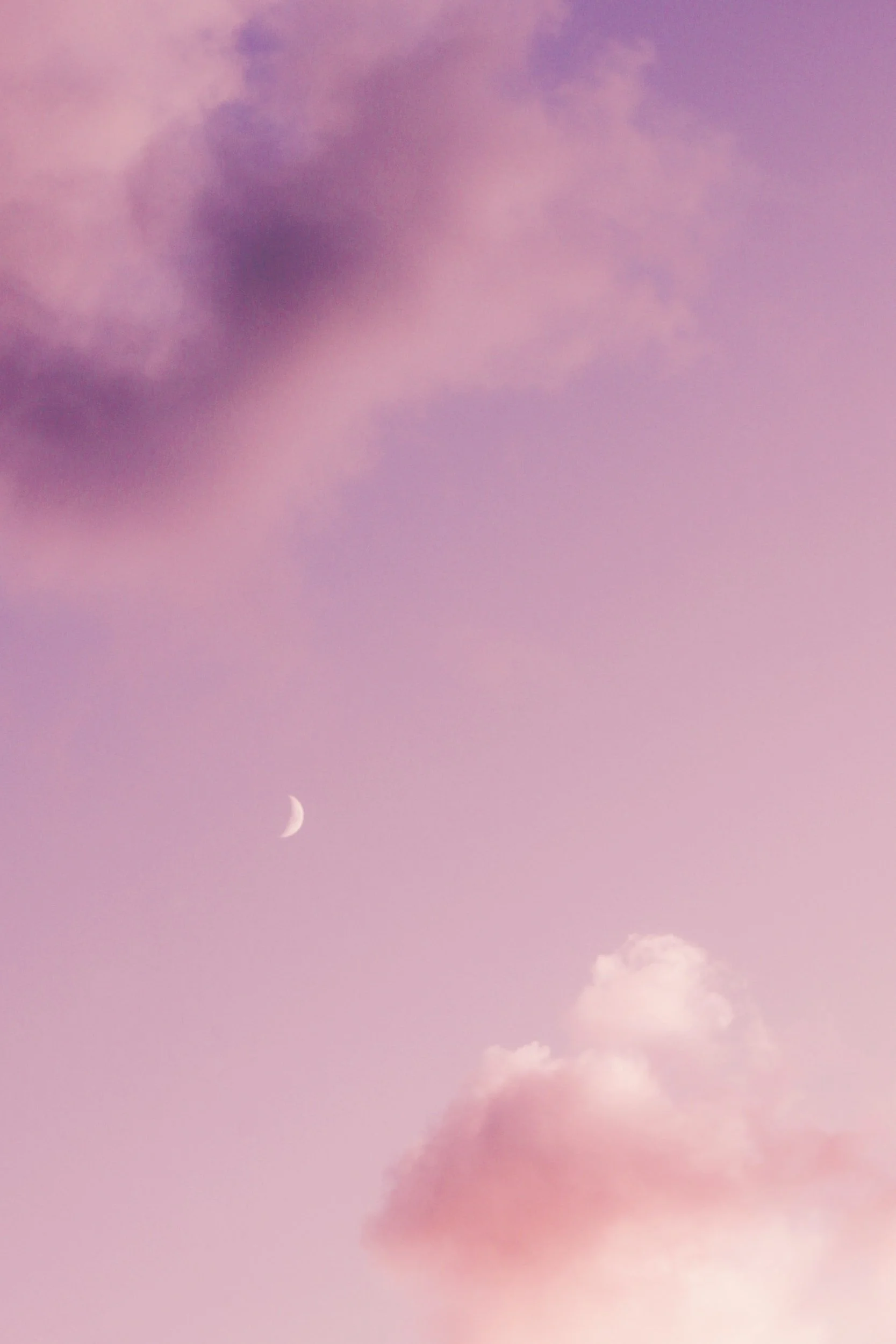 You and Your Pink Sky