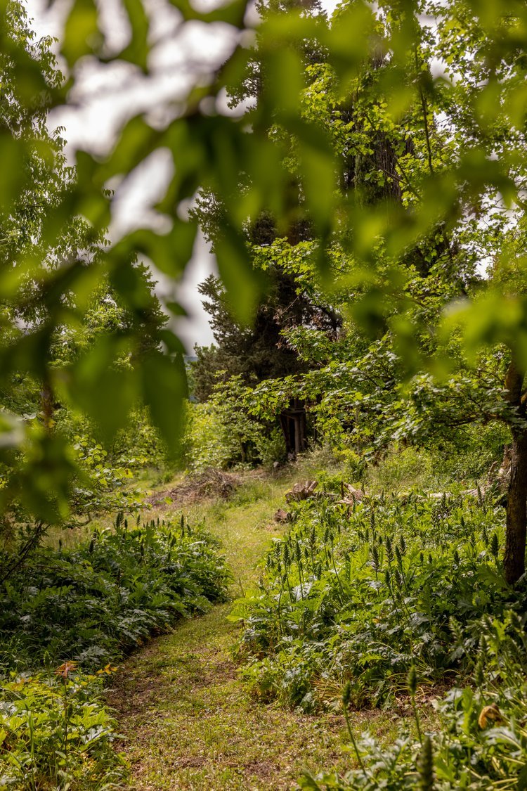 Días de Tierra | raduno creativo
