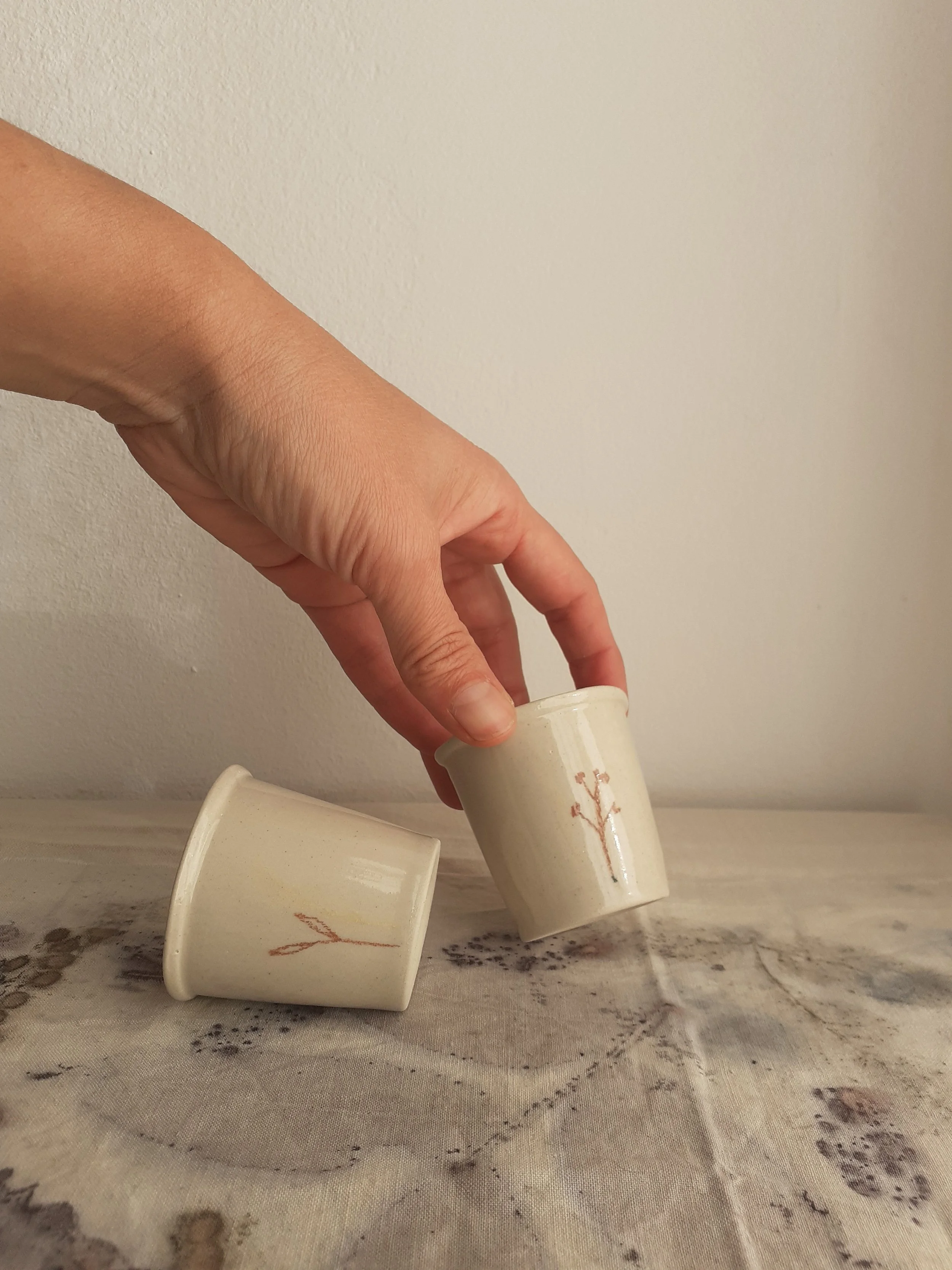 Segni e Disegni | workshop 