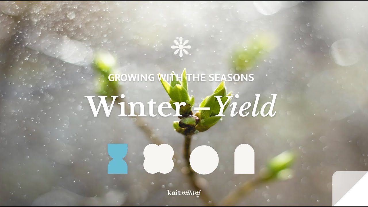 Winter-Yield-Somatic Workshop.jpg