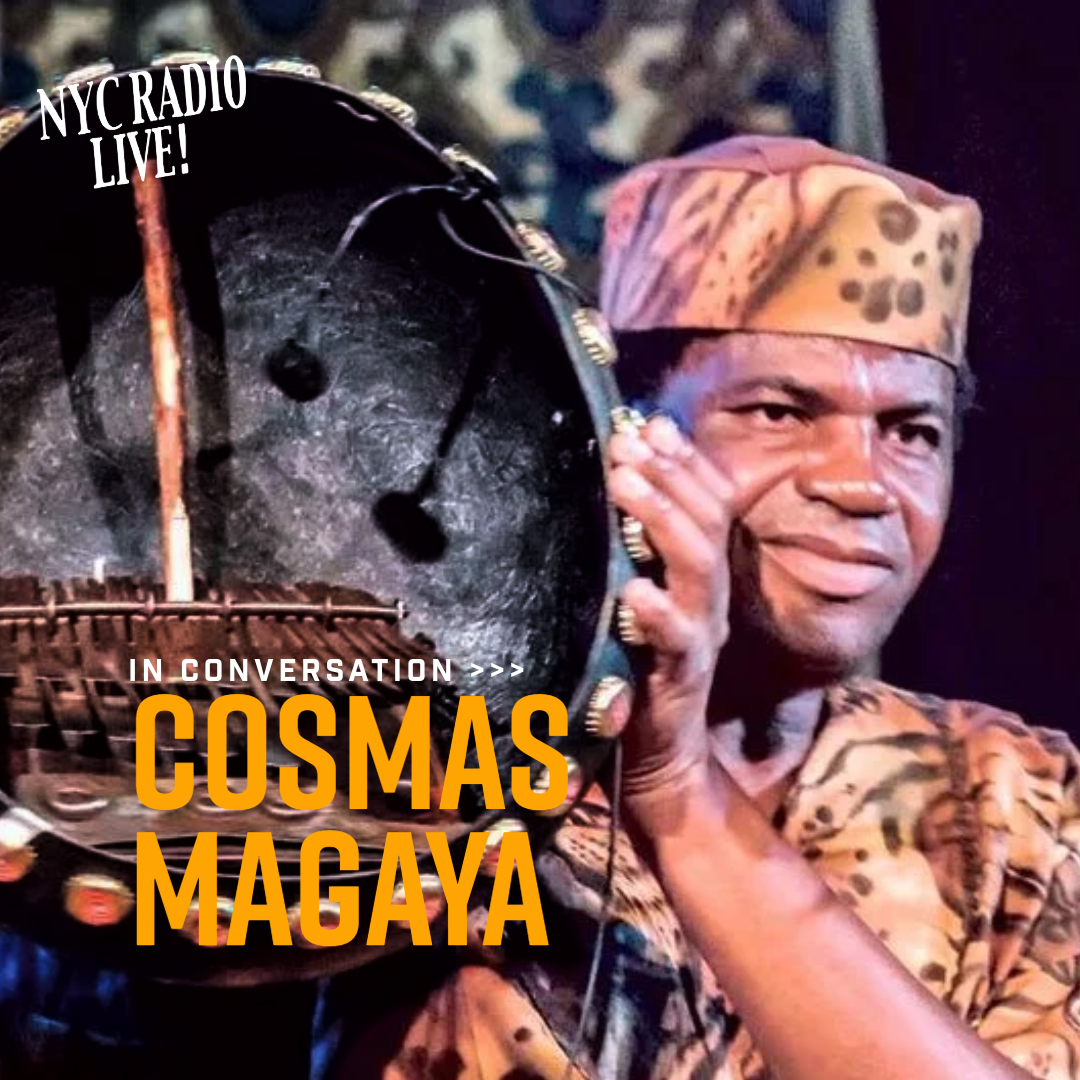 Cosmas Magaya - Master of the Shona Mbira 2011