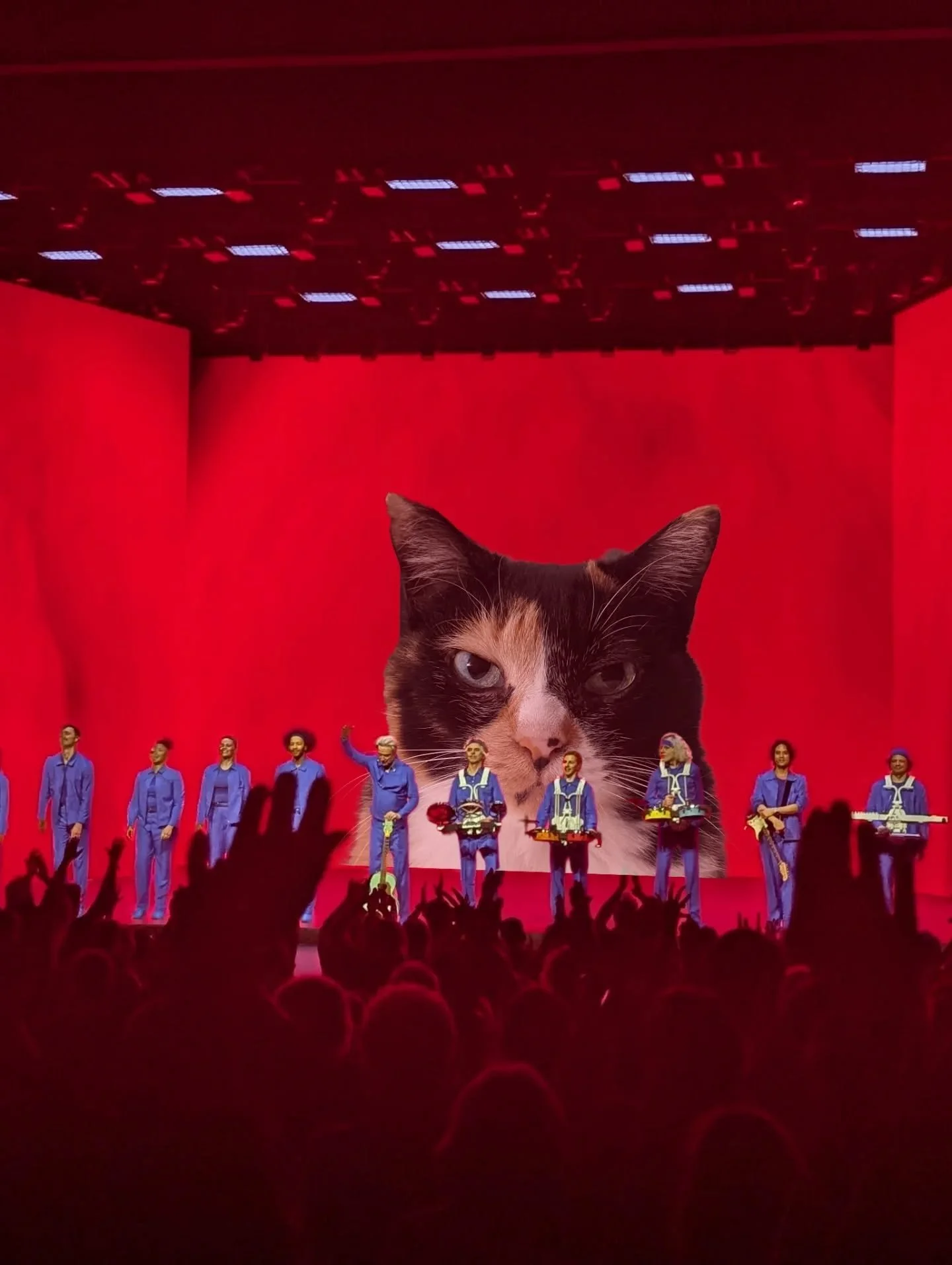 Of course Big Ears was great, but we kept receiving transmissions from our pets throughout the festival. 

Did anyone else have the same experience?

Thank you @bigearsfestival 
To be continued ✨