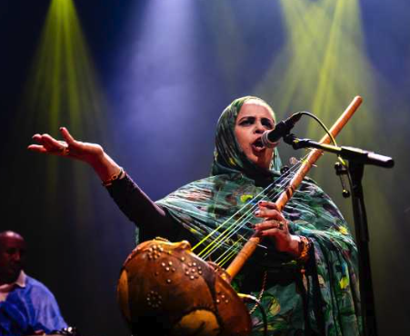 Noura Mint Seymali meets the Brooklyn Raga Massive Crew