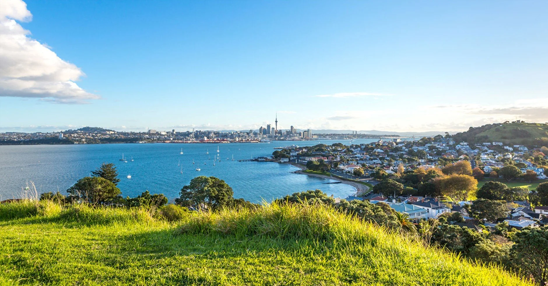 The Best Day Trips from Auckland City