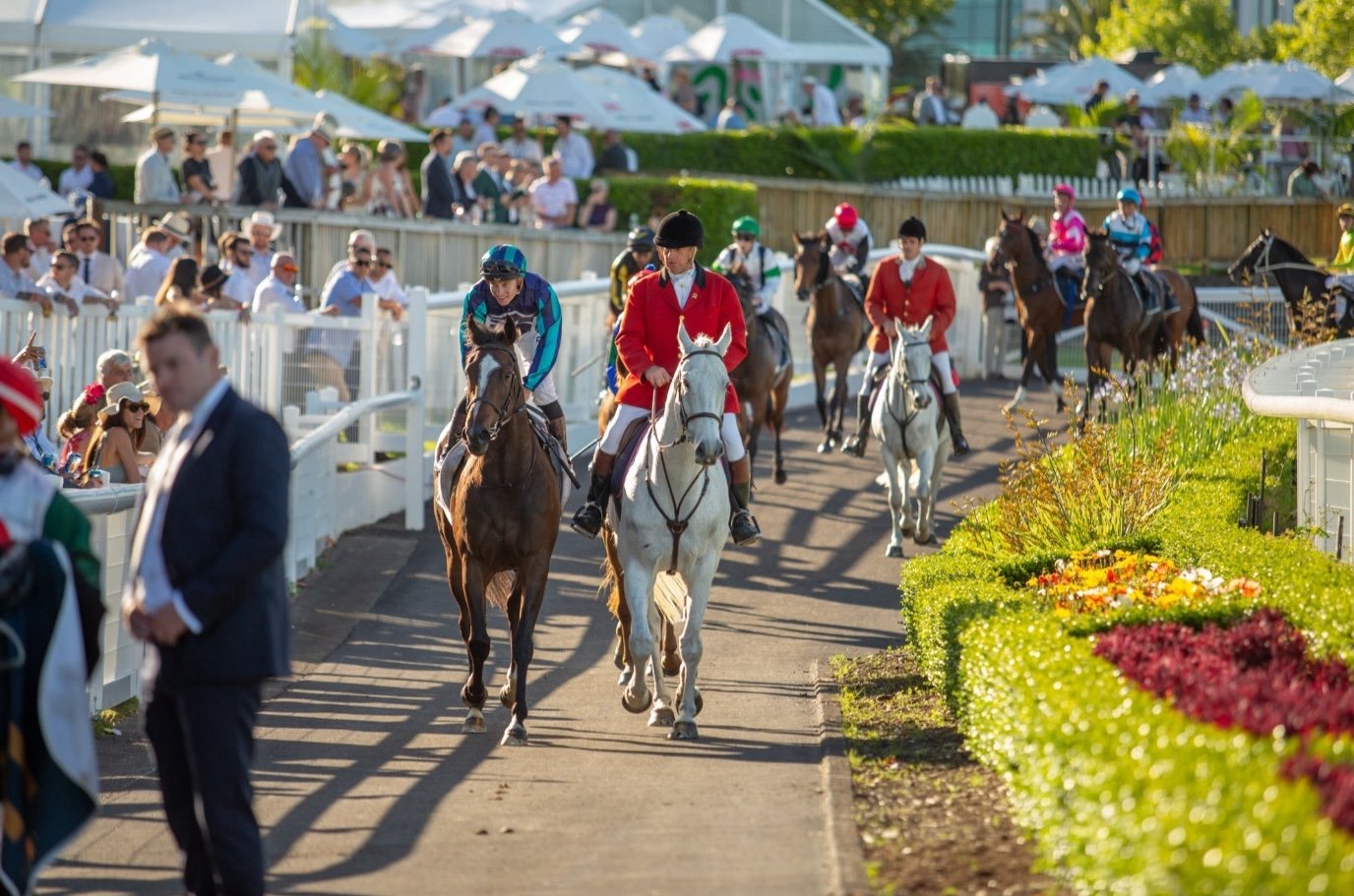 Auckland Sporting Events: Rugby, Cricket, Racing &amp; Football