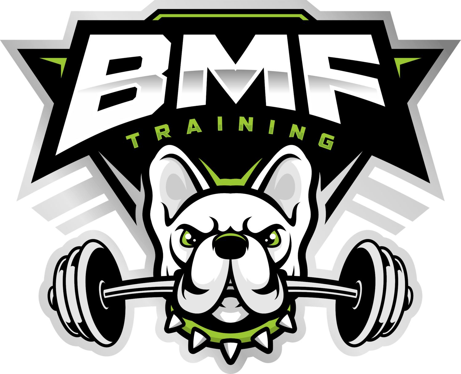 BMF TRAINING