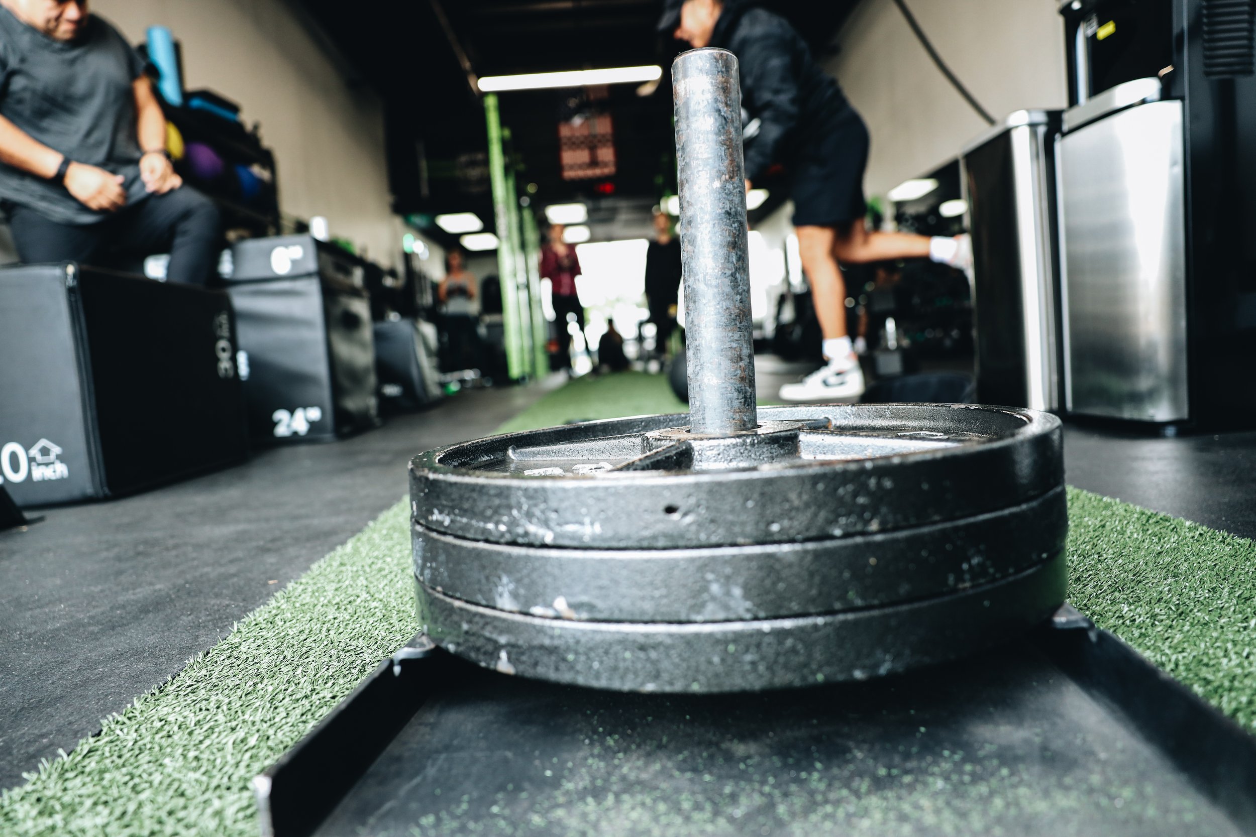 Personal Training: The Fastest Route To Success