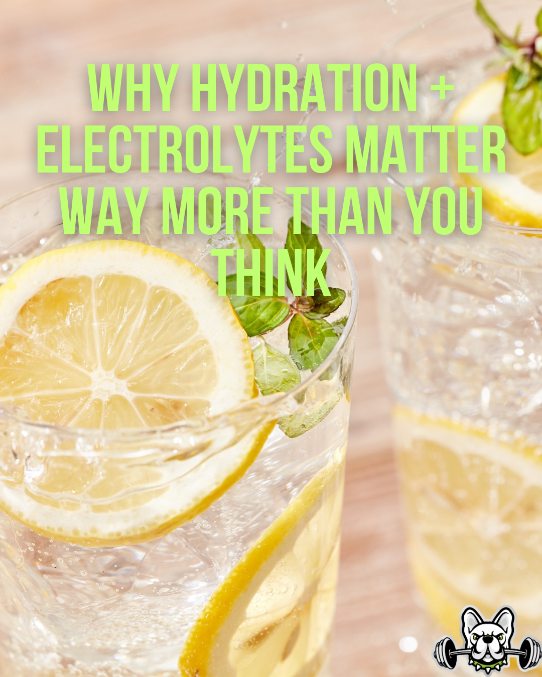 Why Hydration + Electrolytes Matter Way More Than You Think