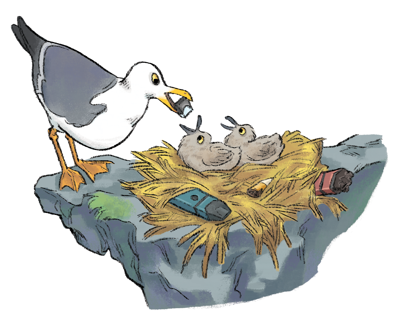 JW_WO5_5887_FinalPREVIEW_SeagullNest.png