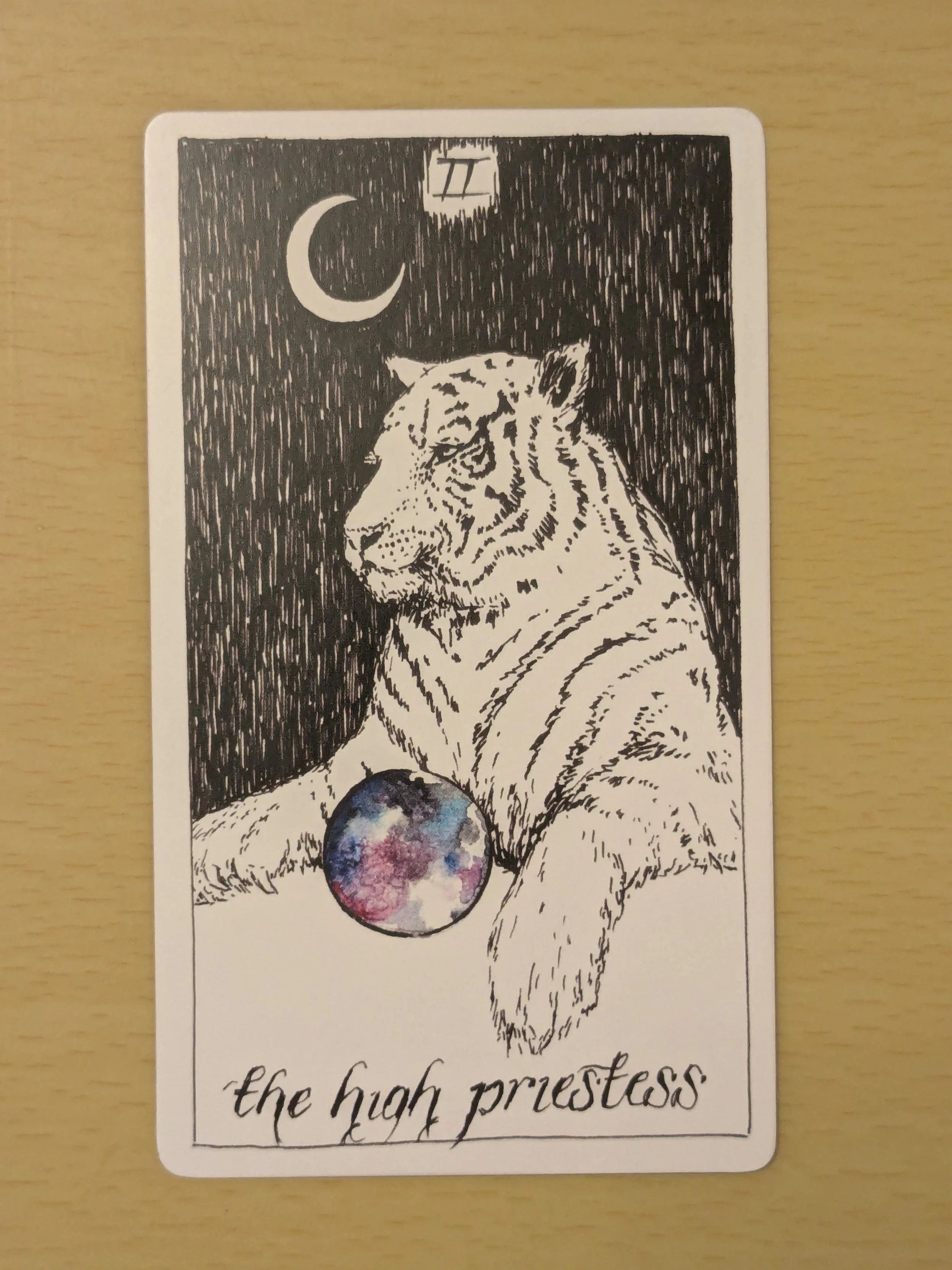 Kiki’s Big Dream Experiment - Week 8 - Mystery