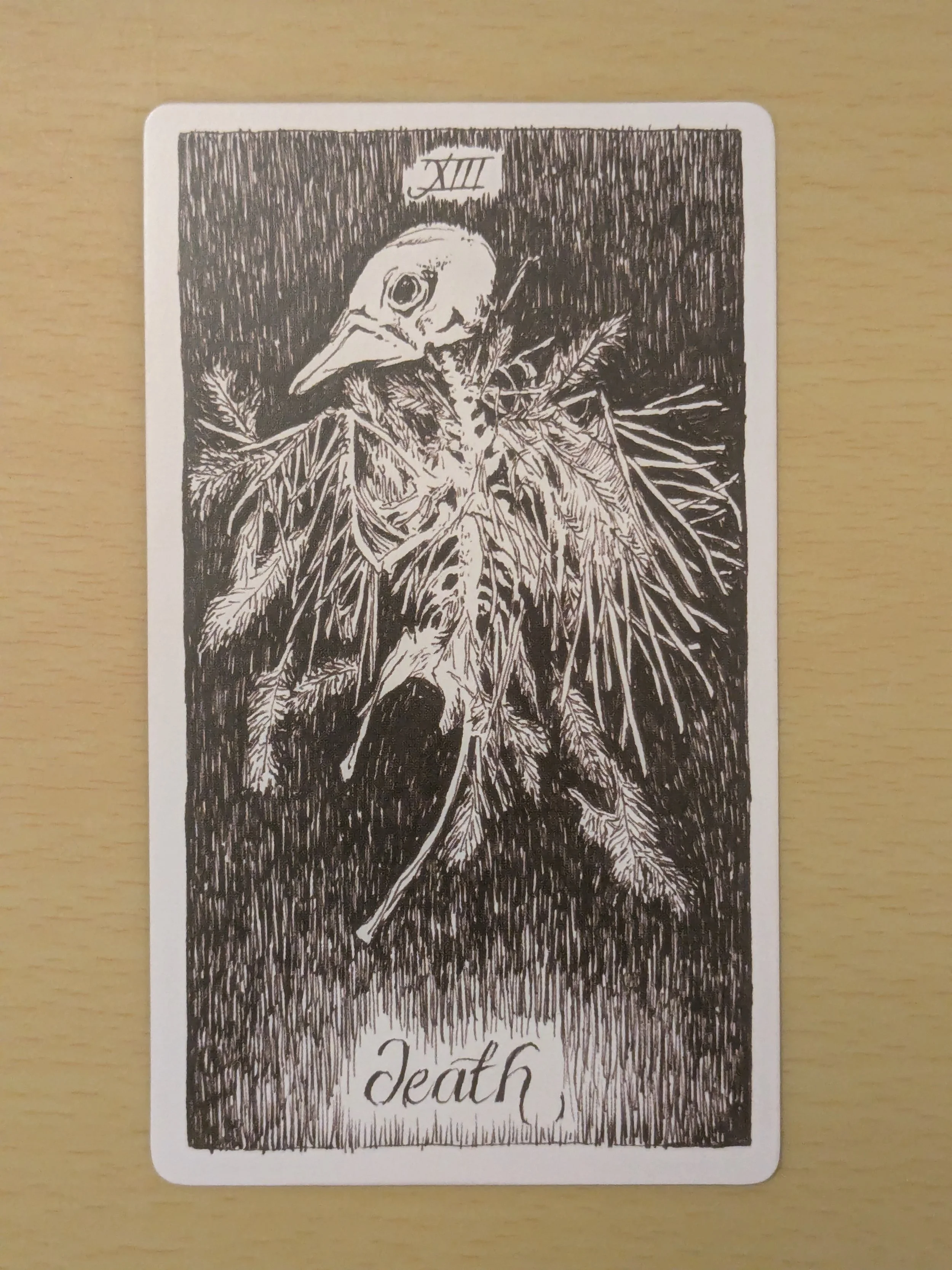 Kiki’s Big Dream Experiment - Week 10 - Transformation