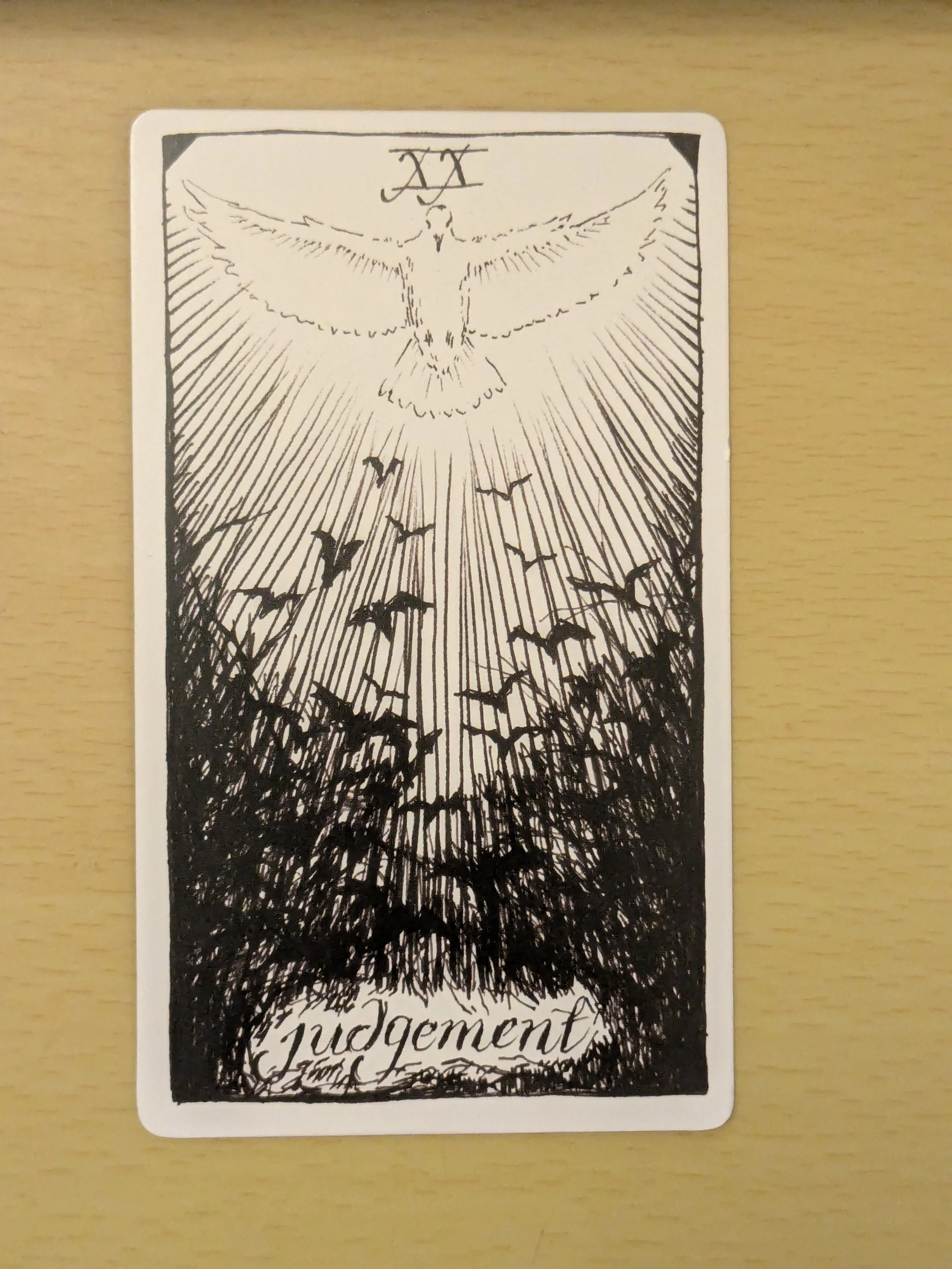 Kiki’s Big Dream Experiment - Week 12 - Forgiveness