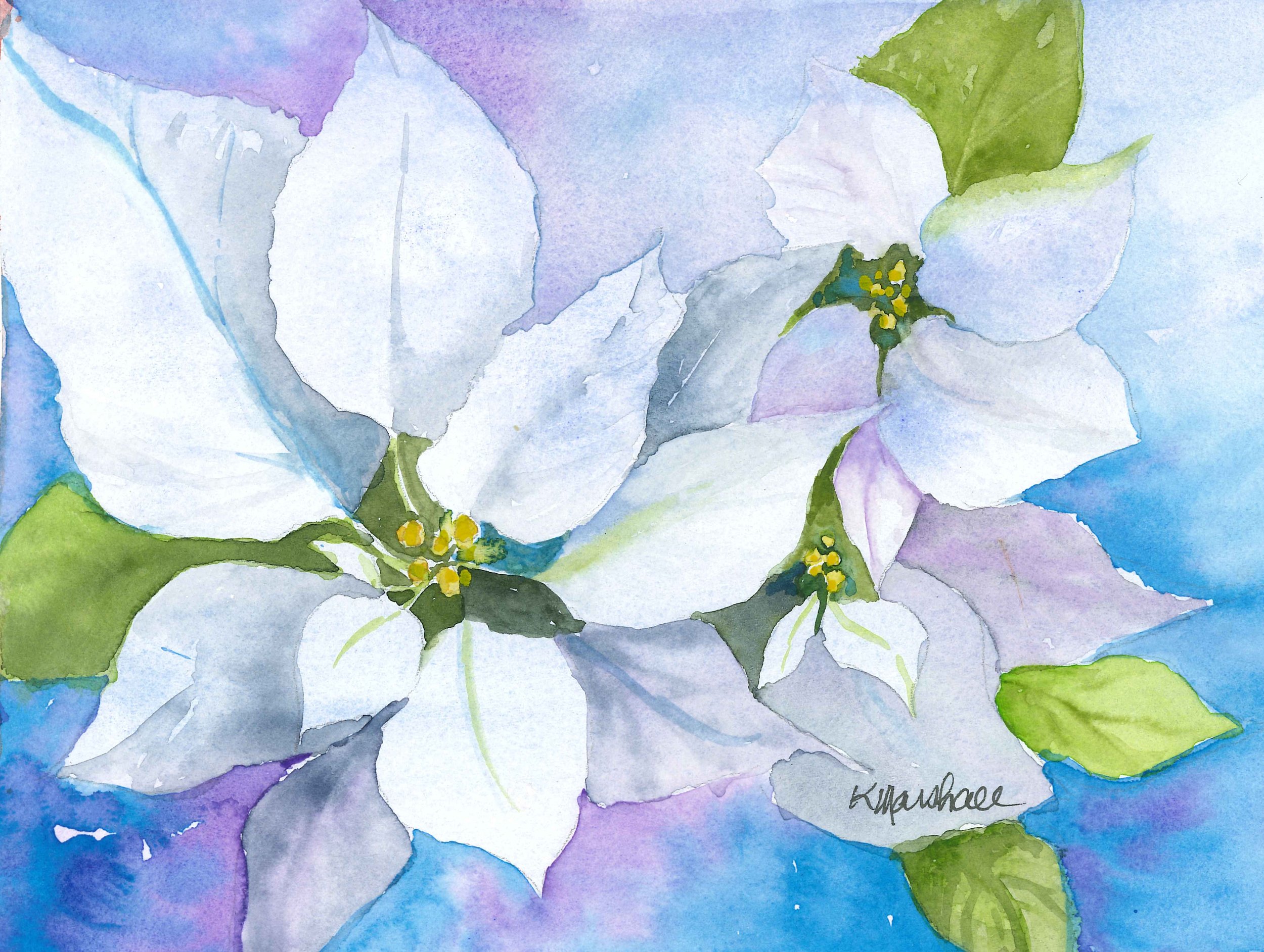 scanned blue poinsettia.jpg
