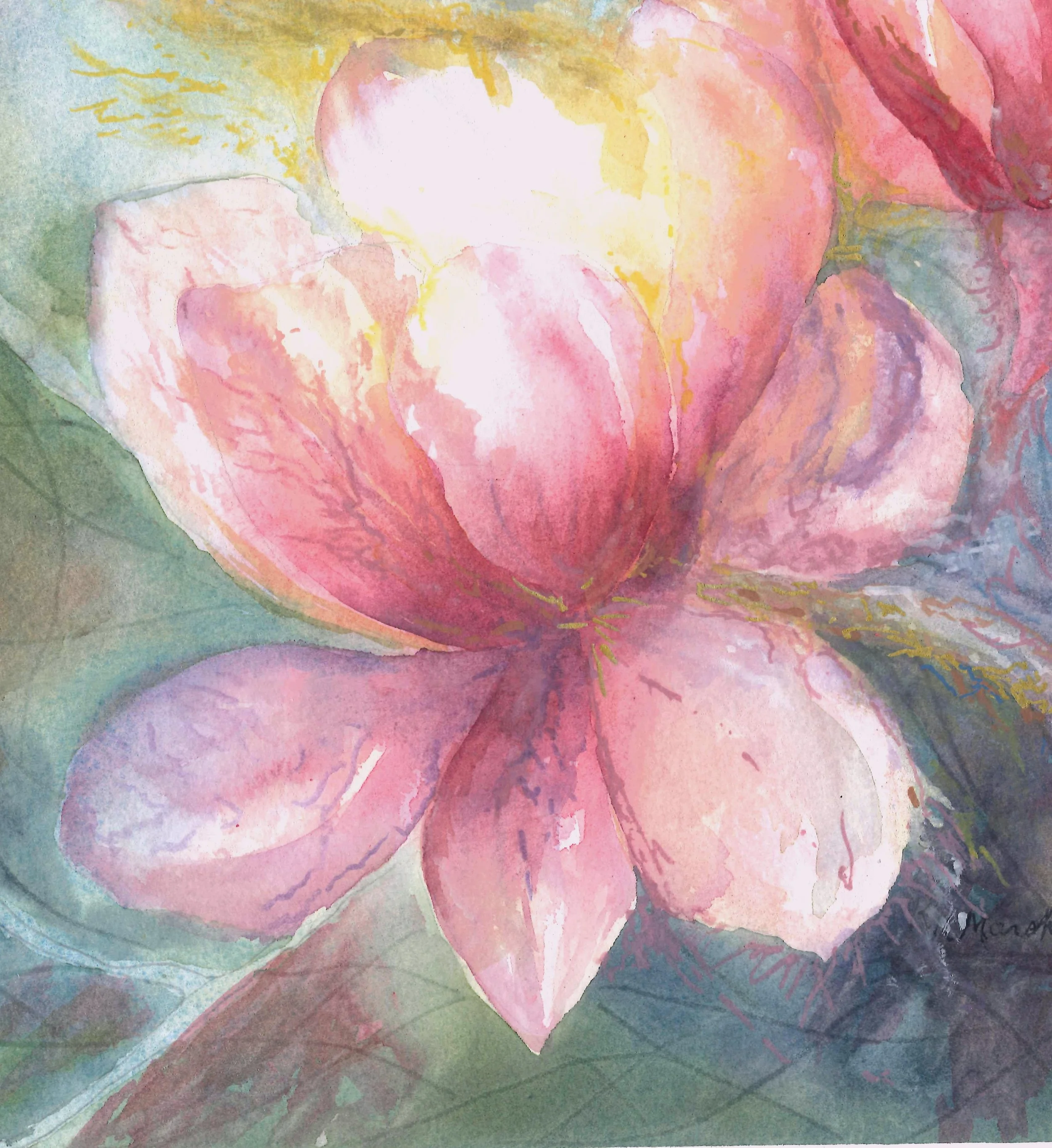 Scanned magnolia with marker cropped.jpg
