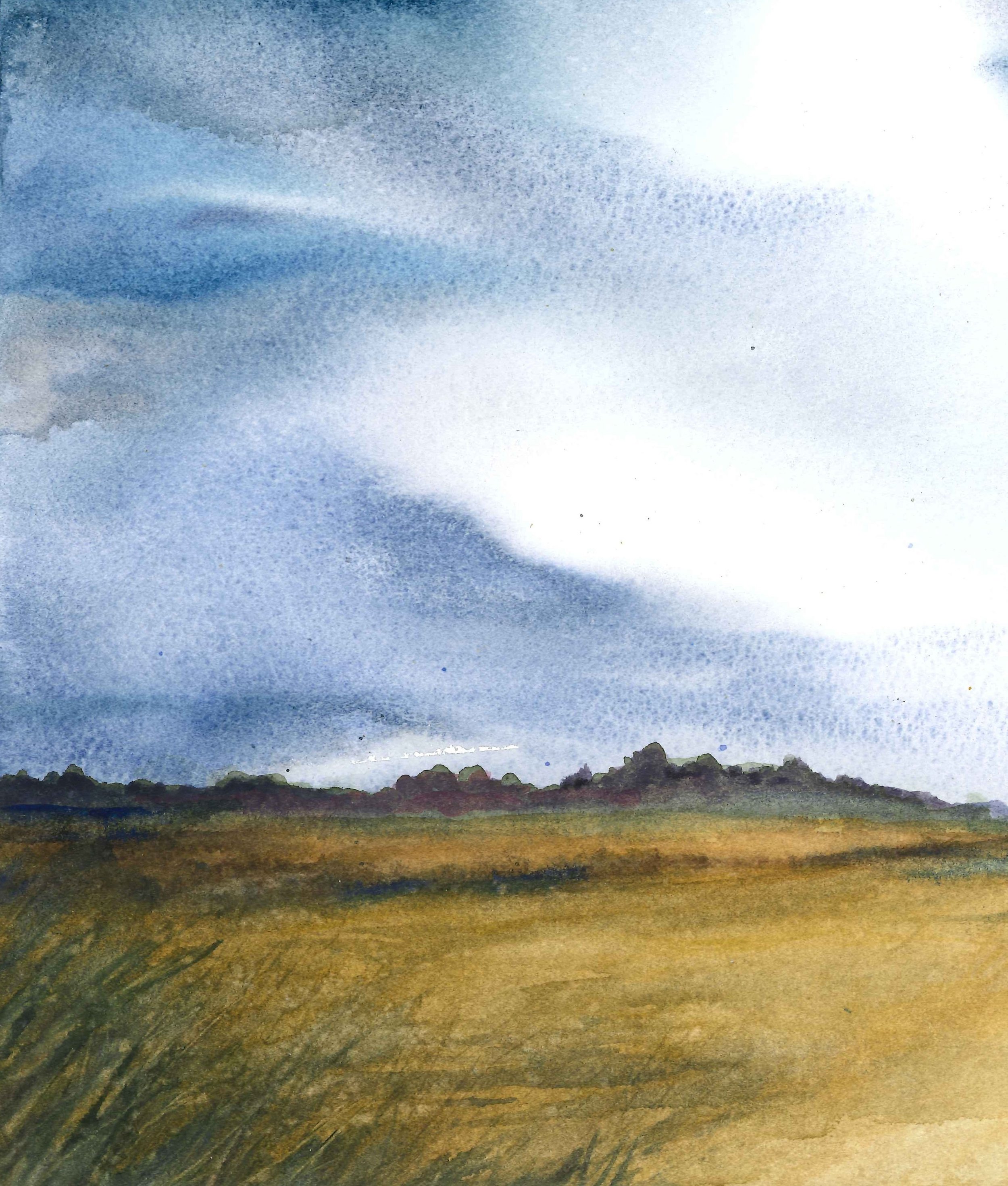 Scanned sky and geese sky cropped.jpg